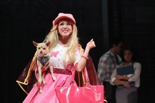 Legally Blonde - The REV Theatre Company