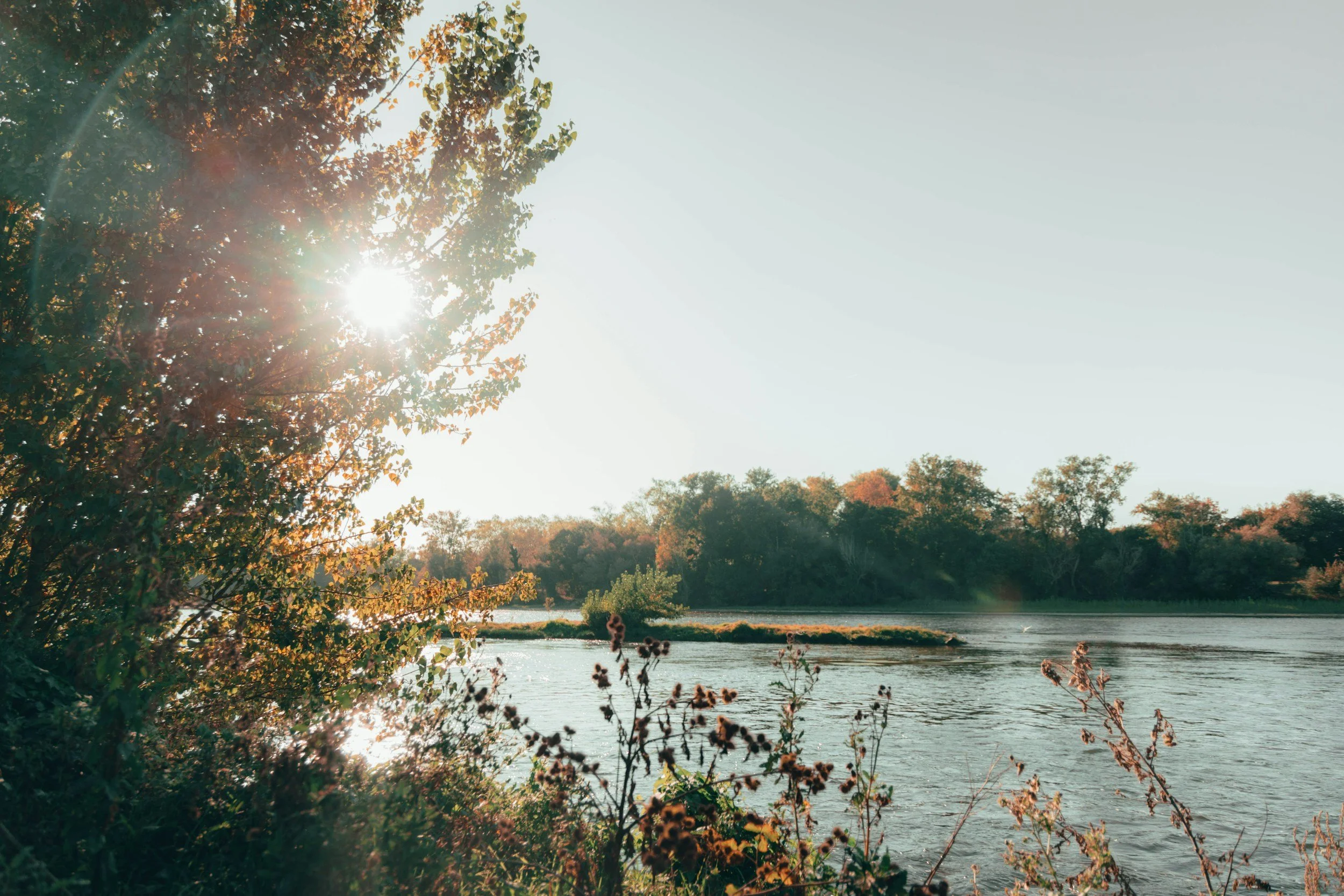 A lakeside scene in autumn with trees displaying fall foliage. Sunlight filters through the trees, reflecting on the water, with a clear sky above.