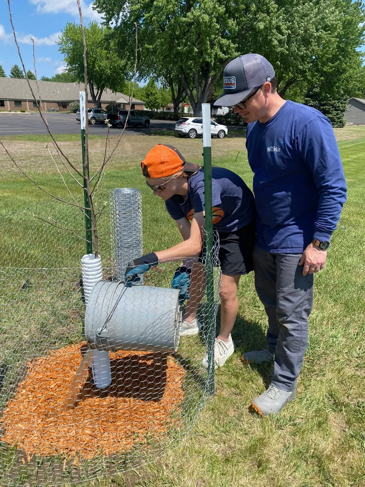 Two individuals planting a small tree in a designated area outlined with chicken wire for protection, with mulch at the base, on a grassy field during daytime.