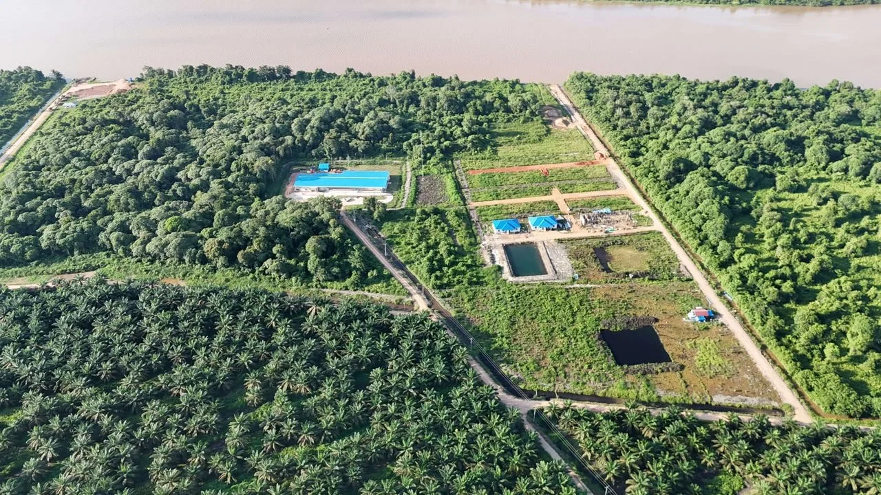 Aerial view of lush green farmland with palm trees, water bodies, and buildings near a river.