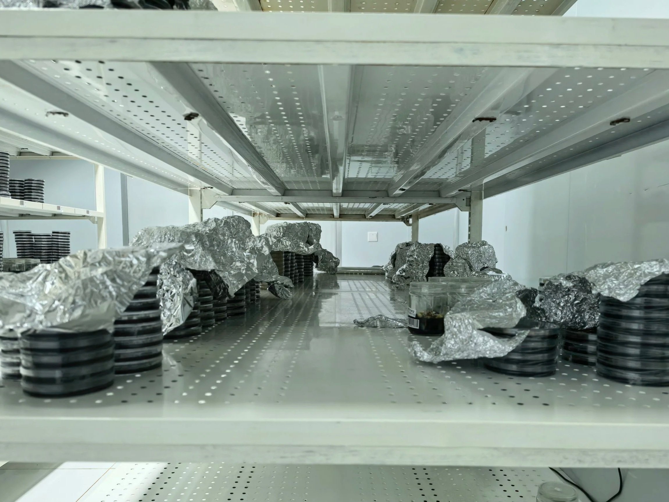 Shelf in a store with stacks of round, black and white striped objects, and pieces of crumpled aluminum foil.