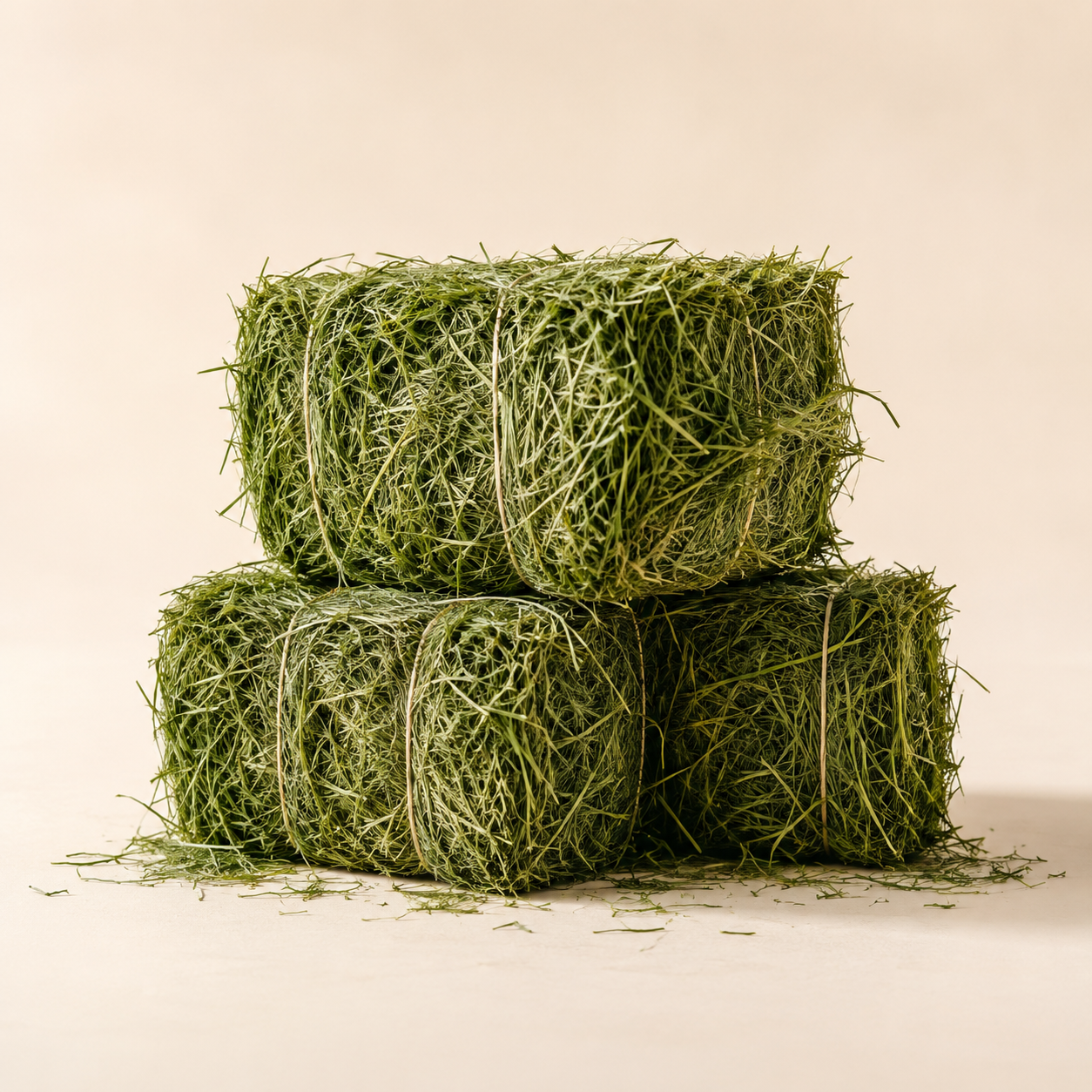 Two bundles of fresh green hay stacked on a plain white background.