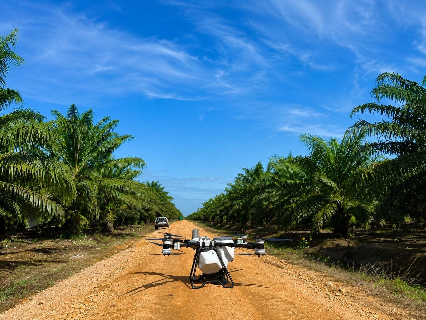 A drone on a dirt road flanked by palm trees under a blue sky with scattered clouds.