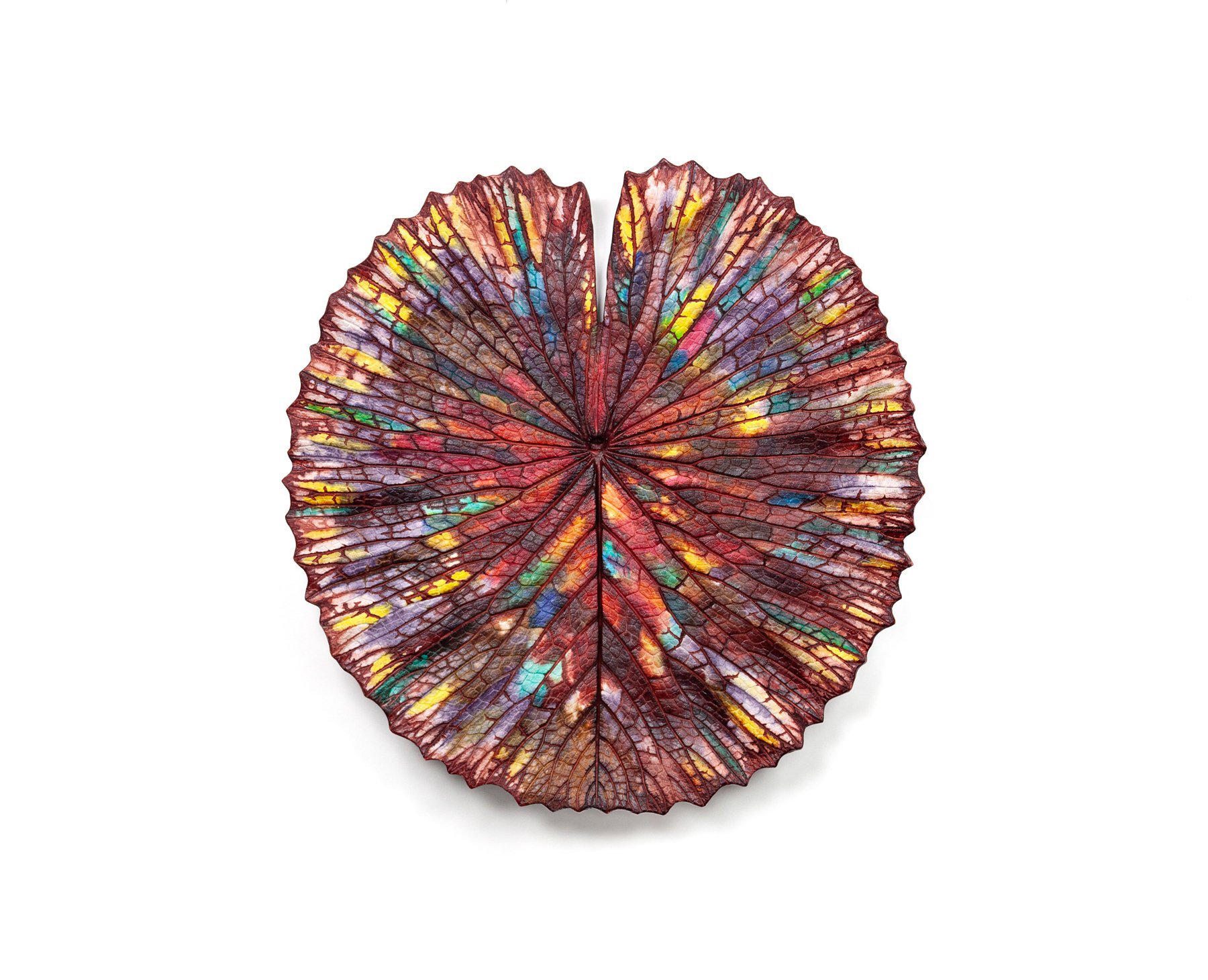 Colorful leaf with intricate vein patterns on a white background. Artist Tania McCamy