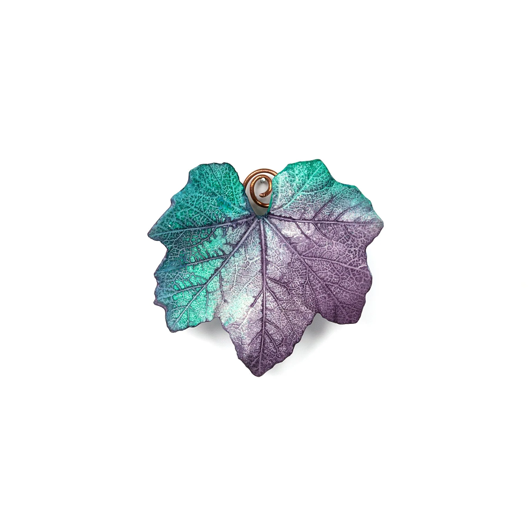 mini hollyhock.jpg