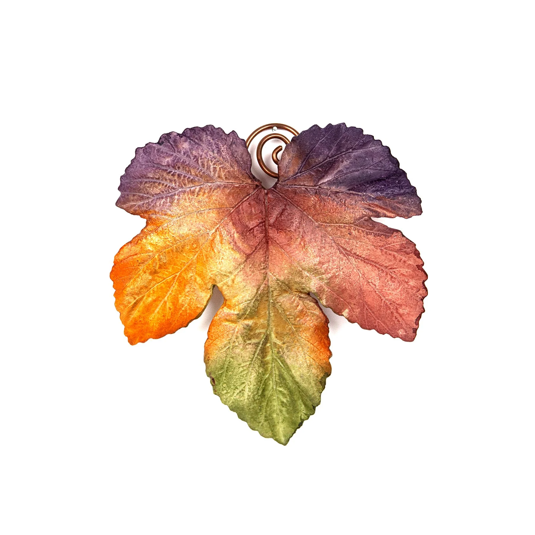 Small hops.jpg