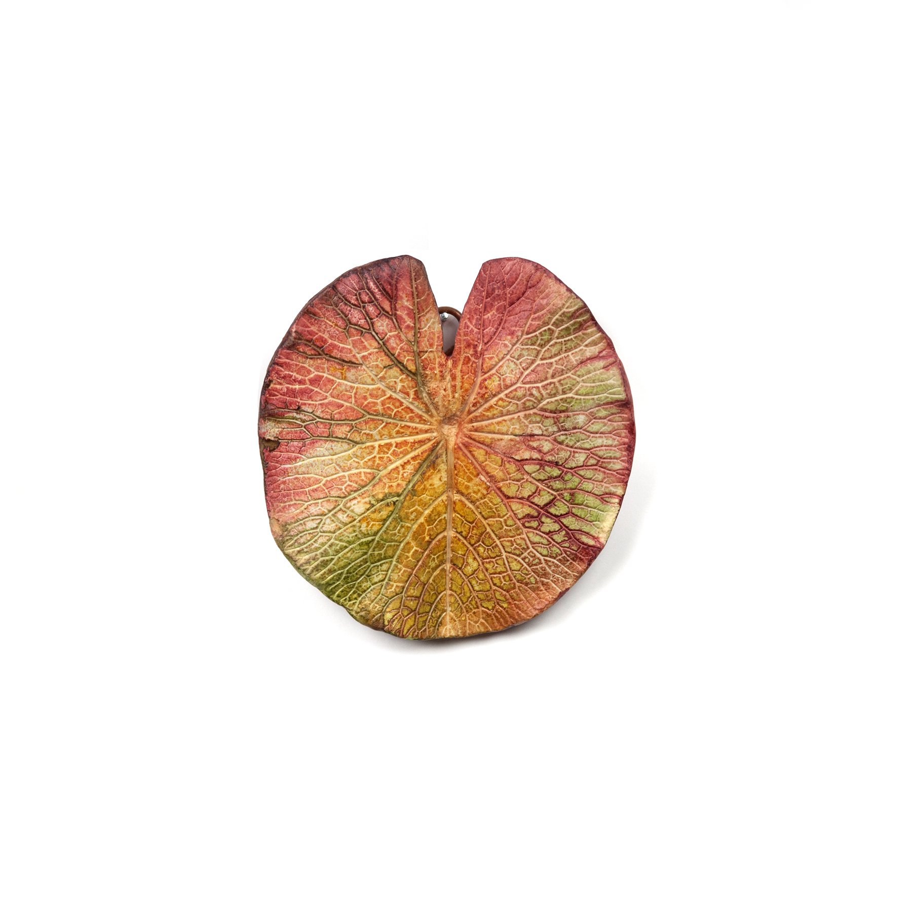 mini waterlily.jpg