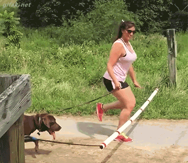 valla.gif
