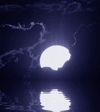 Reflexões