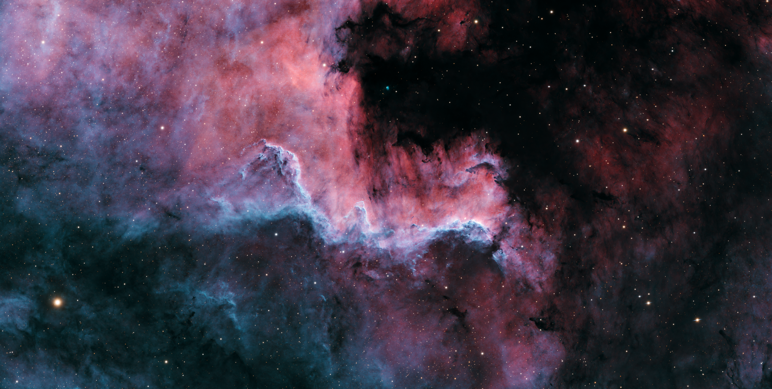 Cygnus Wall (OHS)