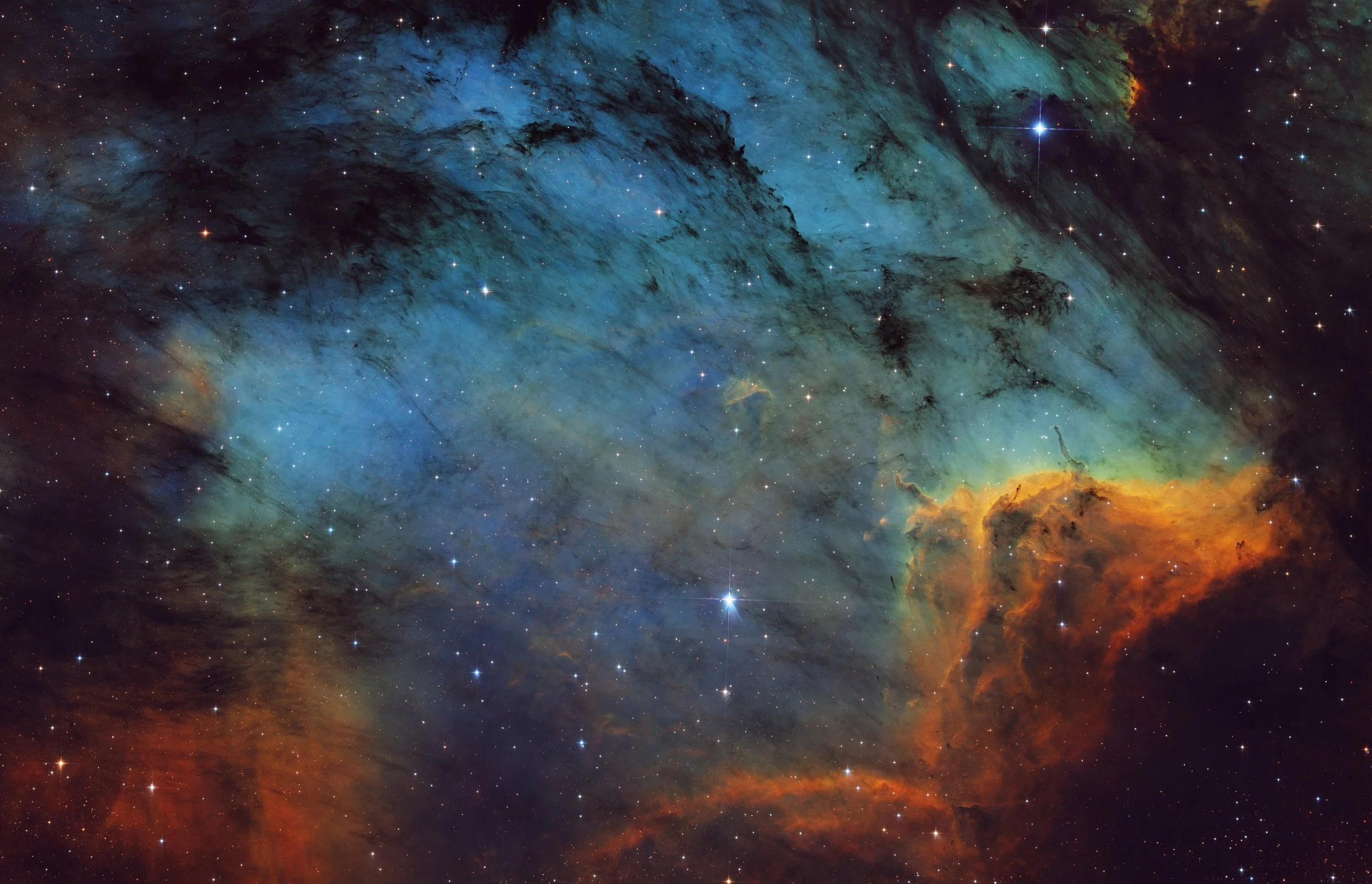 Pelican Nebula (SHO)