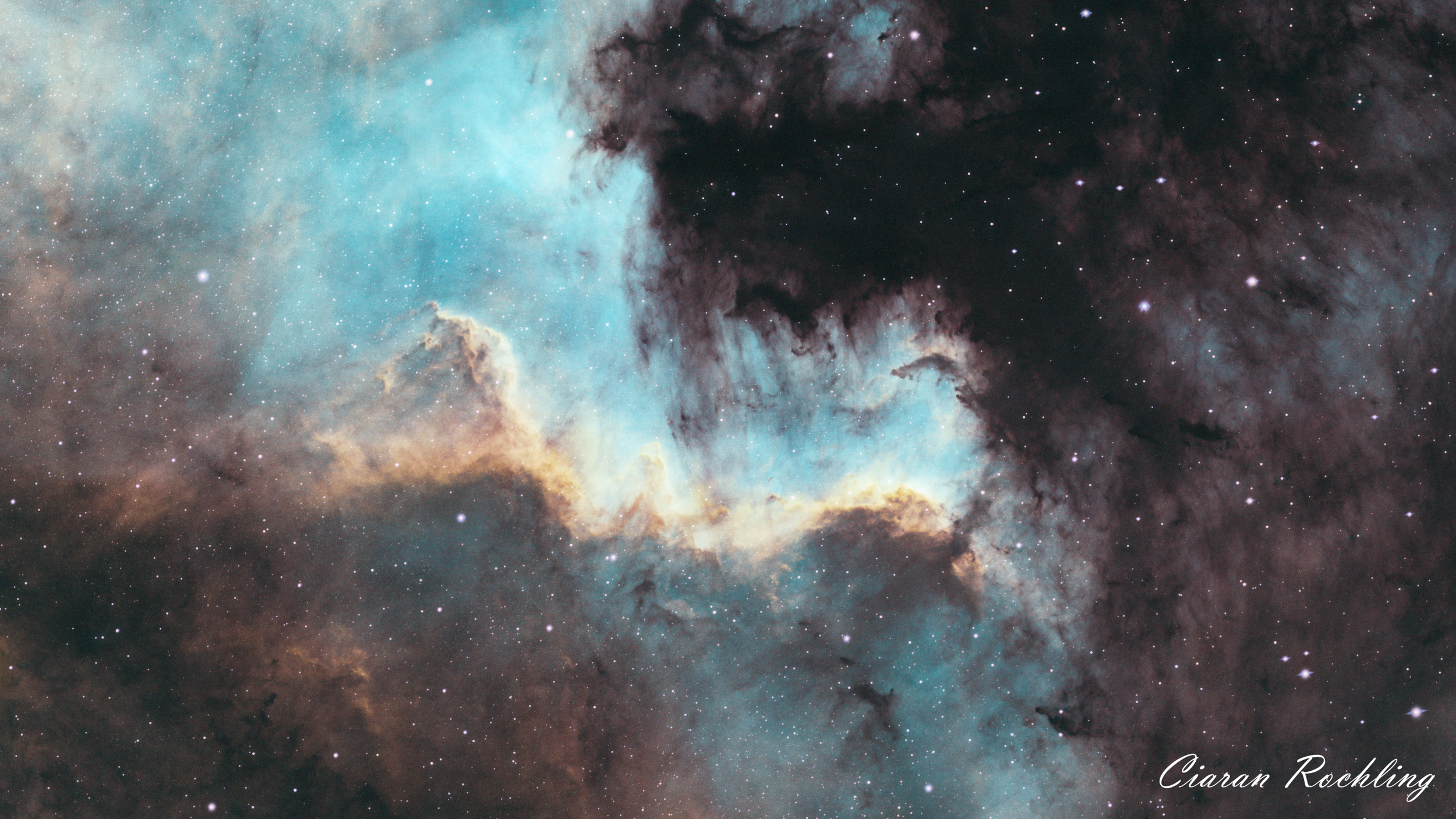 Cygnus Wall (SHO)