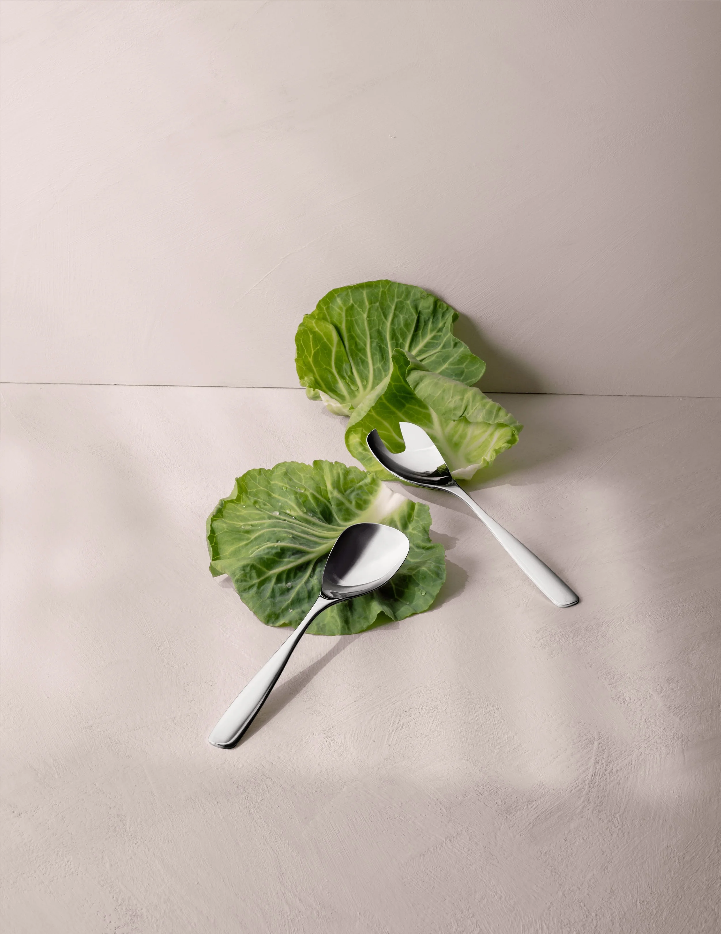 lid_cover_salatsett1.jpg