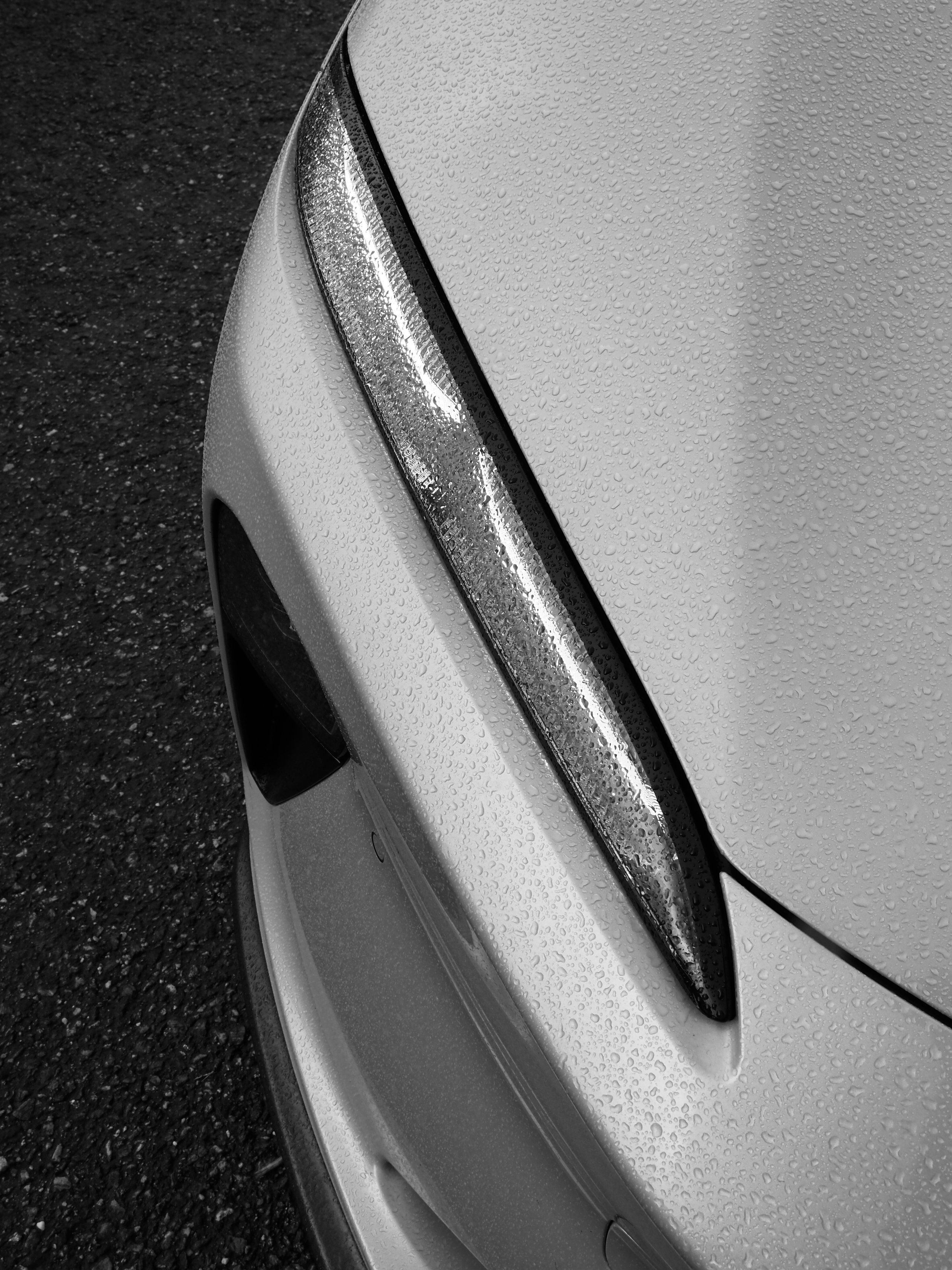 IMG_2200.JPG