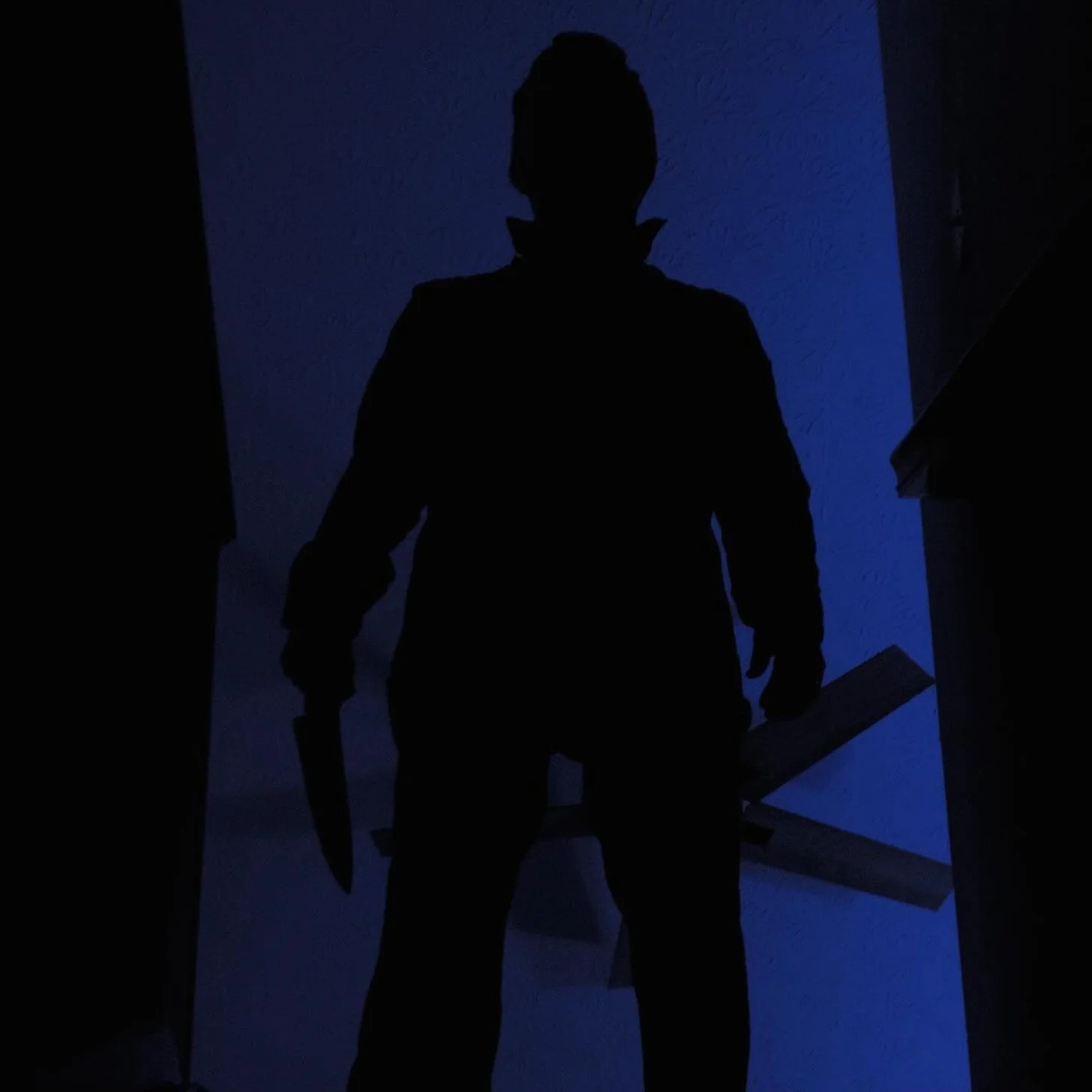 "The Shape's Silhouette". Shot on Nikon D5200 for class. (2024)