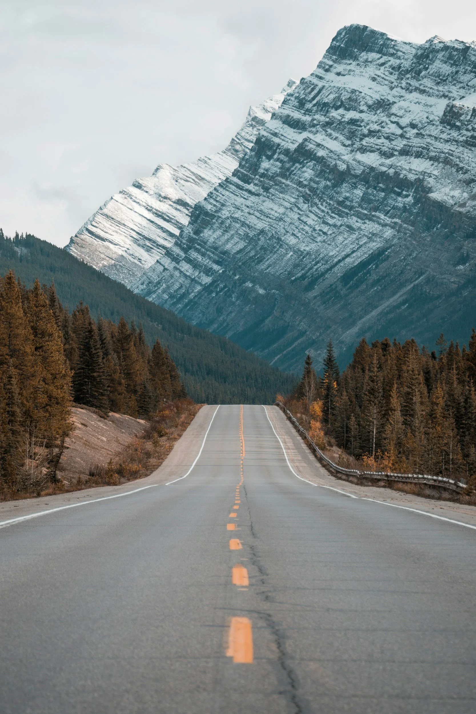 You are not alone in your journey