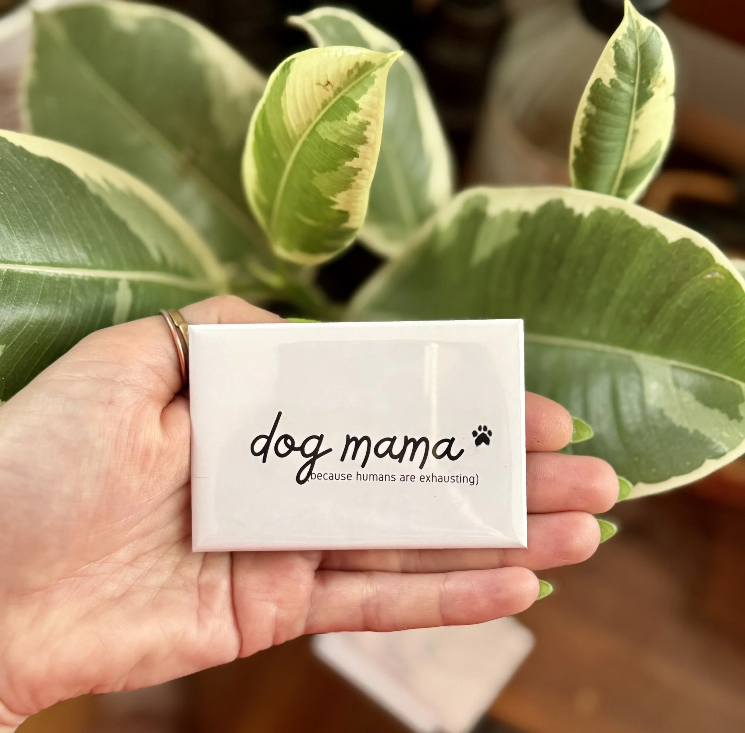 dog mama.jpg