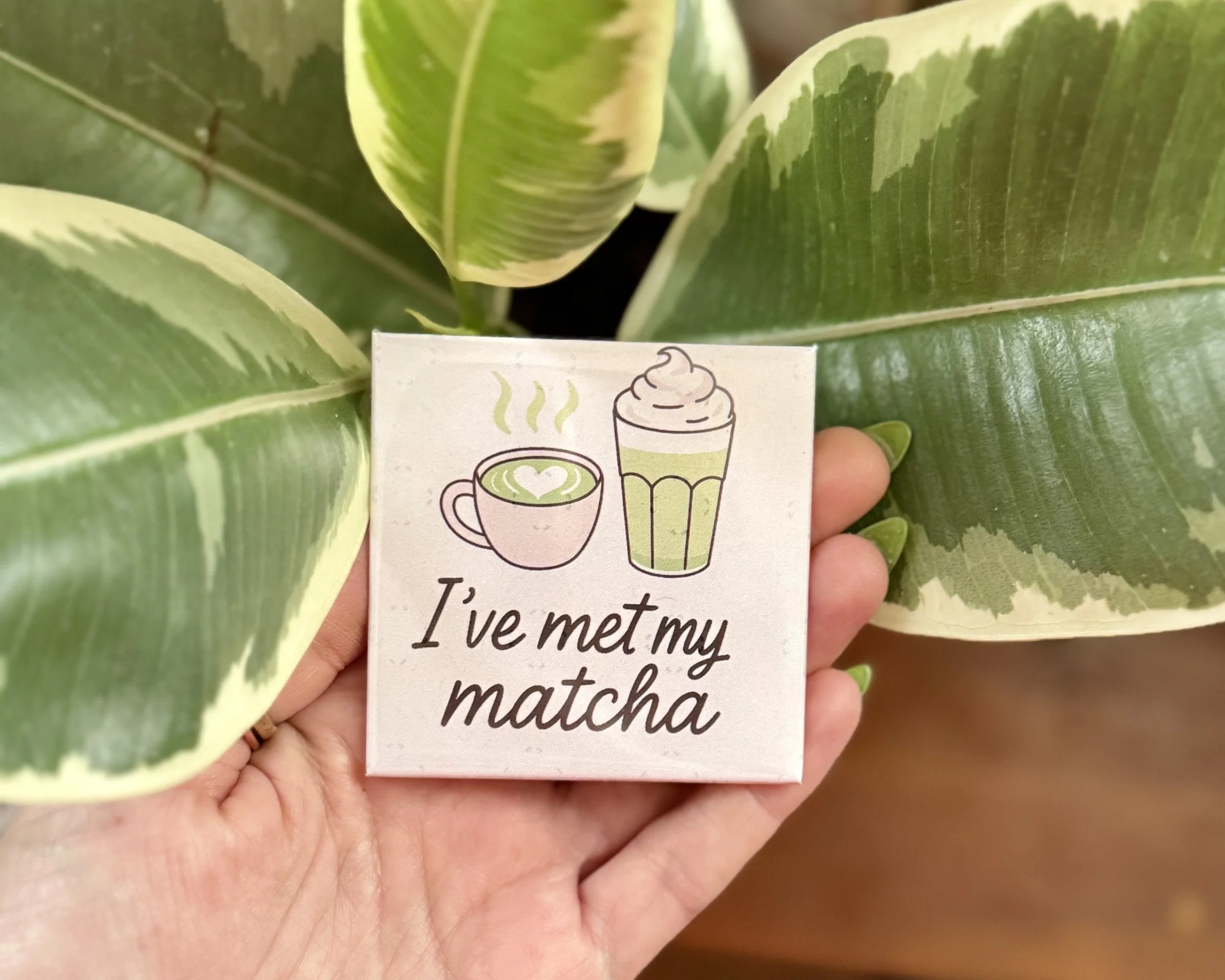 4-Pack | Matcha Lovers Bundle