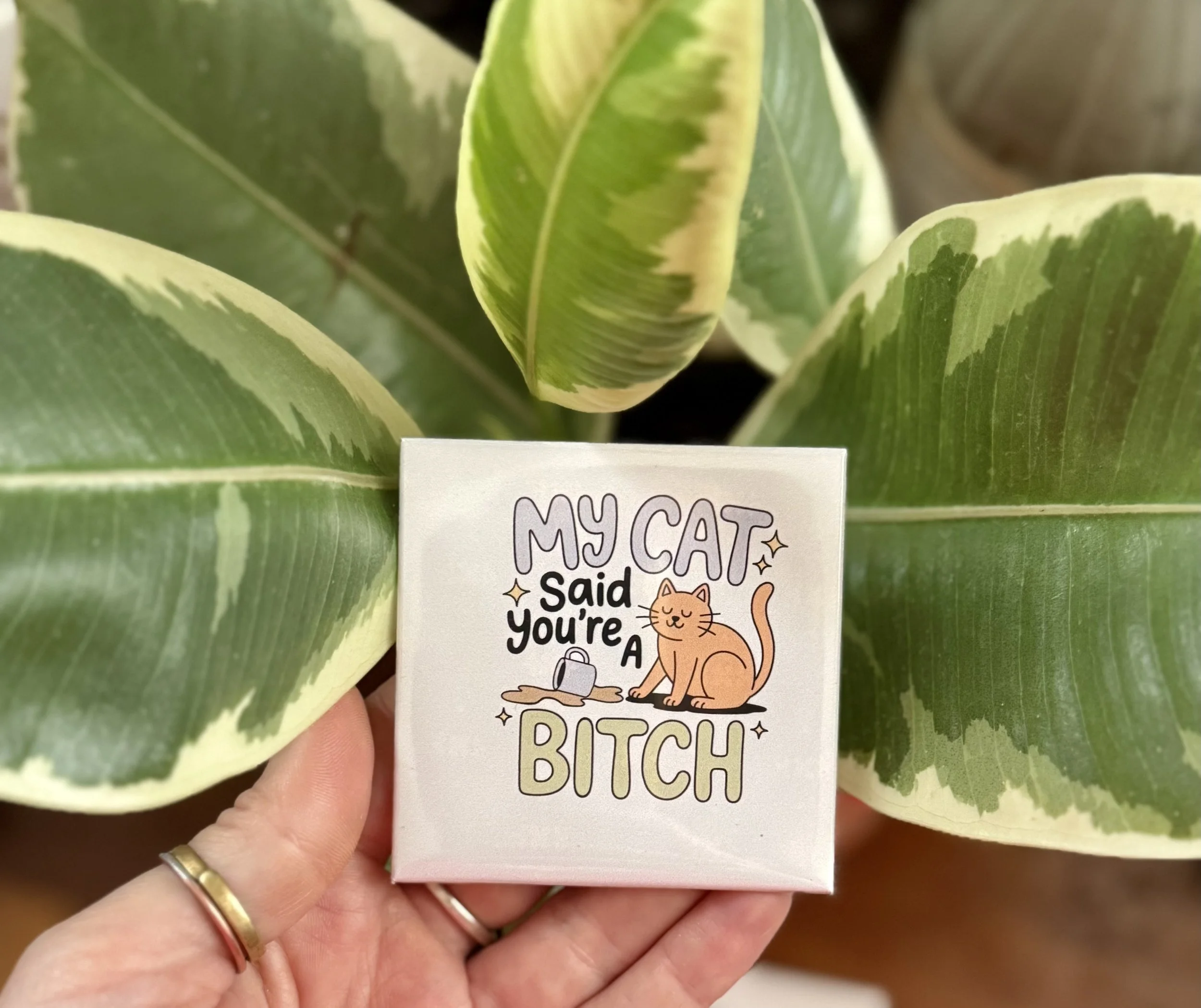 my cat said.jpg