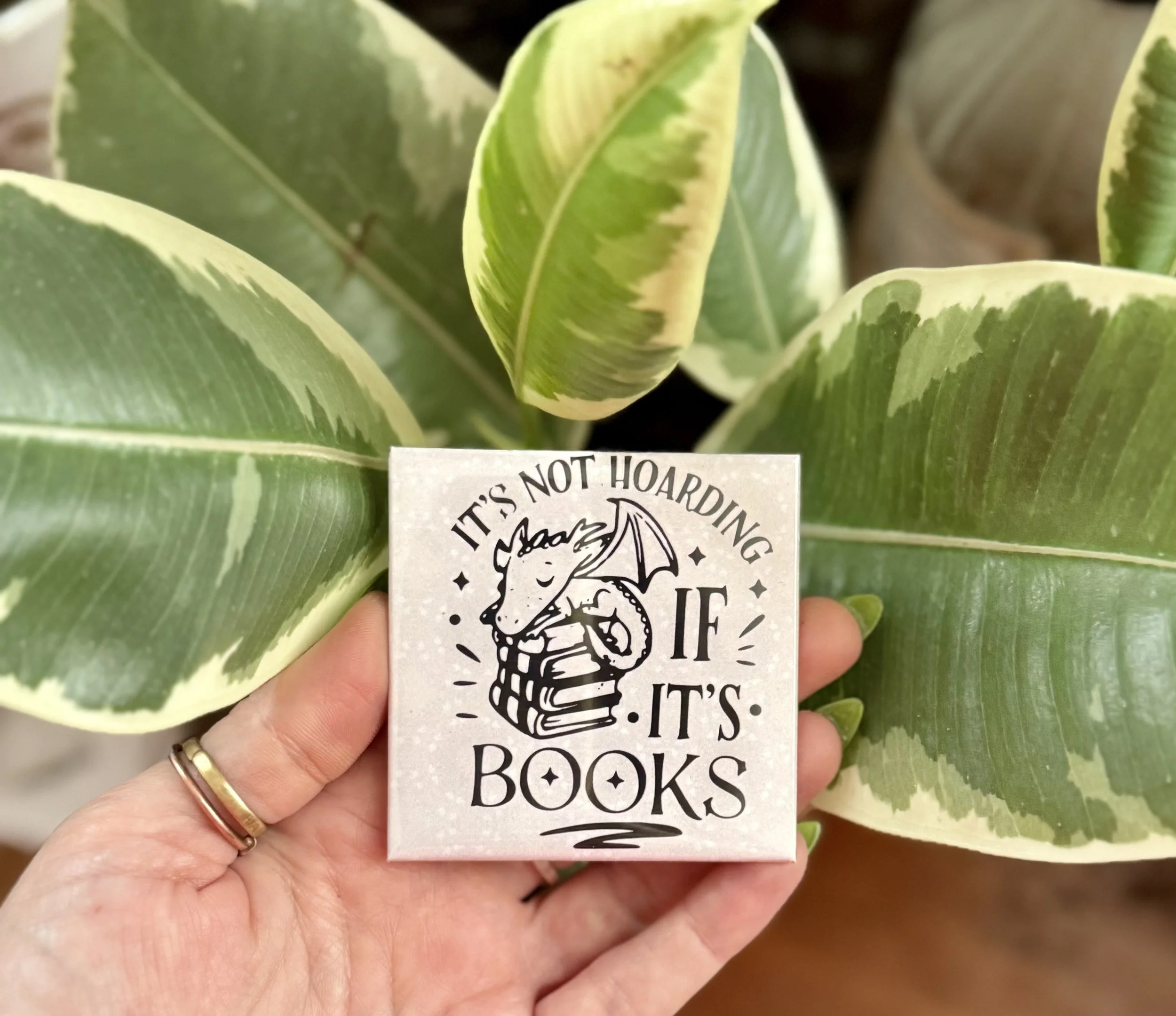 4 Pack | Book Lovers Bundle