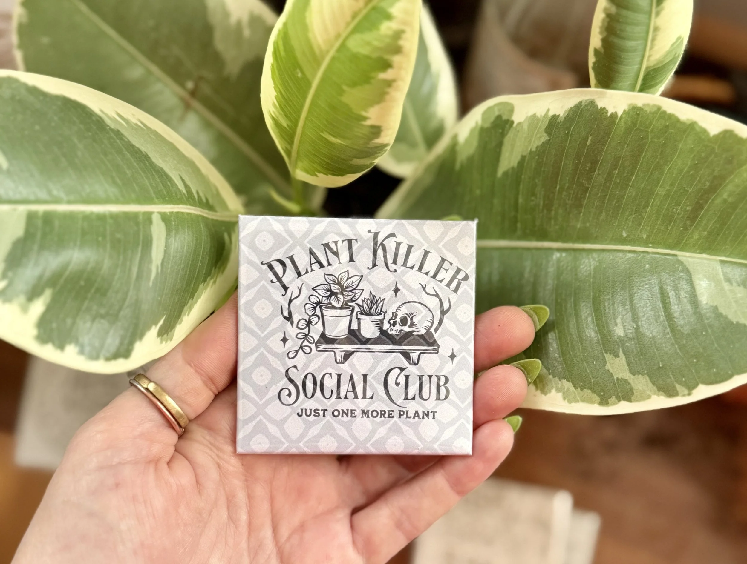 plant killer.jpg