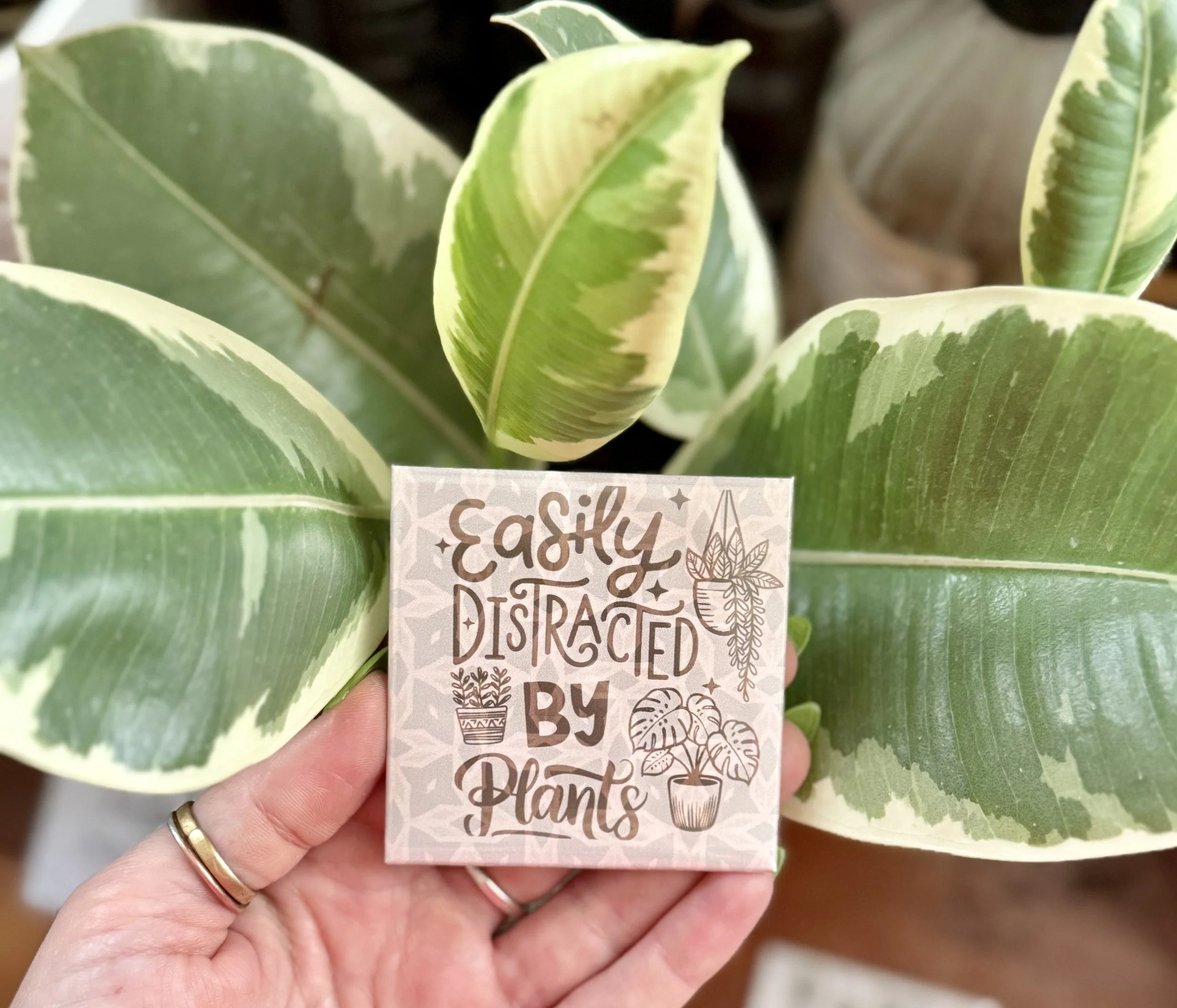 easily distracted by plants.jpg