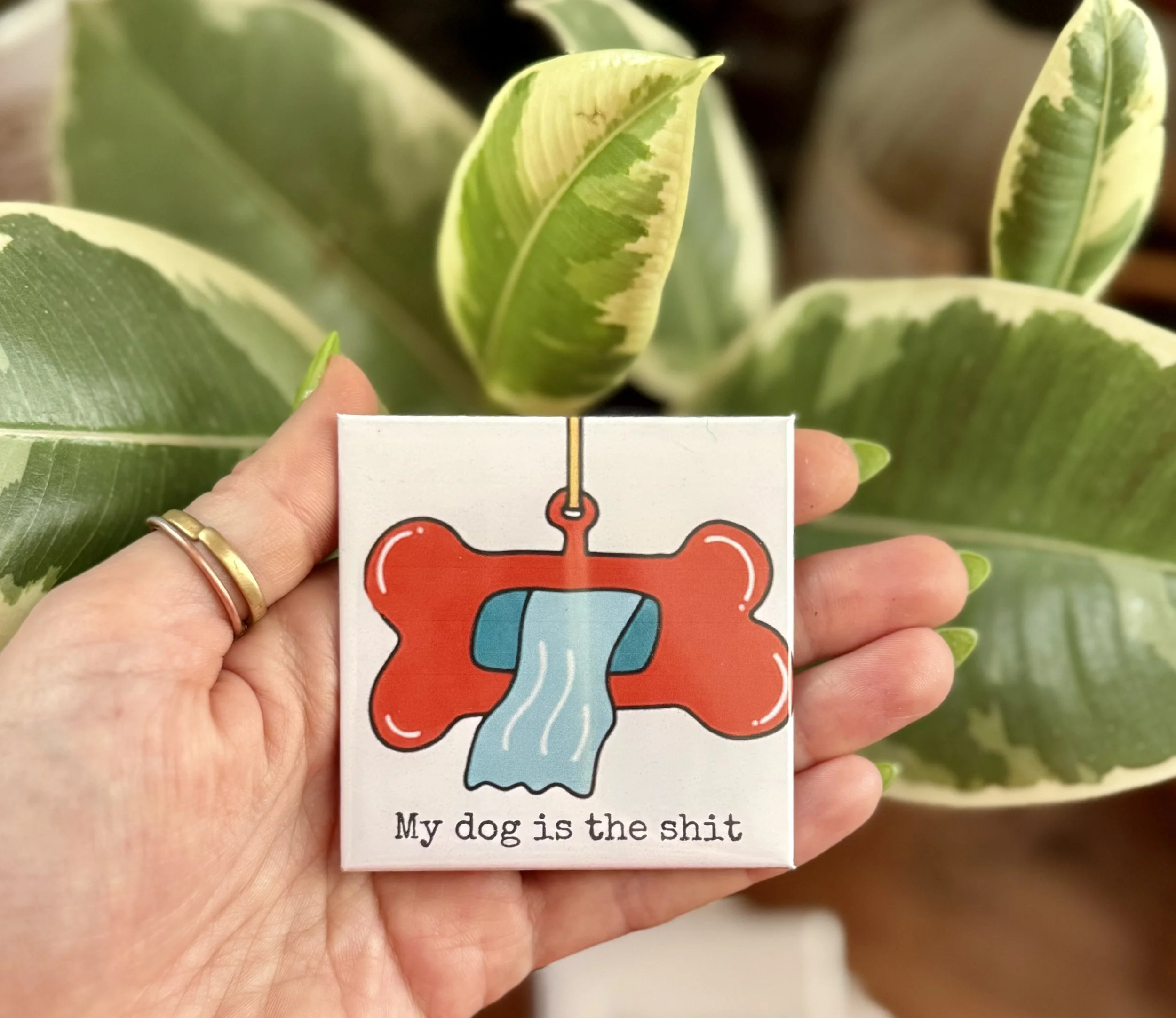 4-Pack | Funny Dog Lovers Magnet Bundle