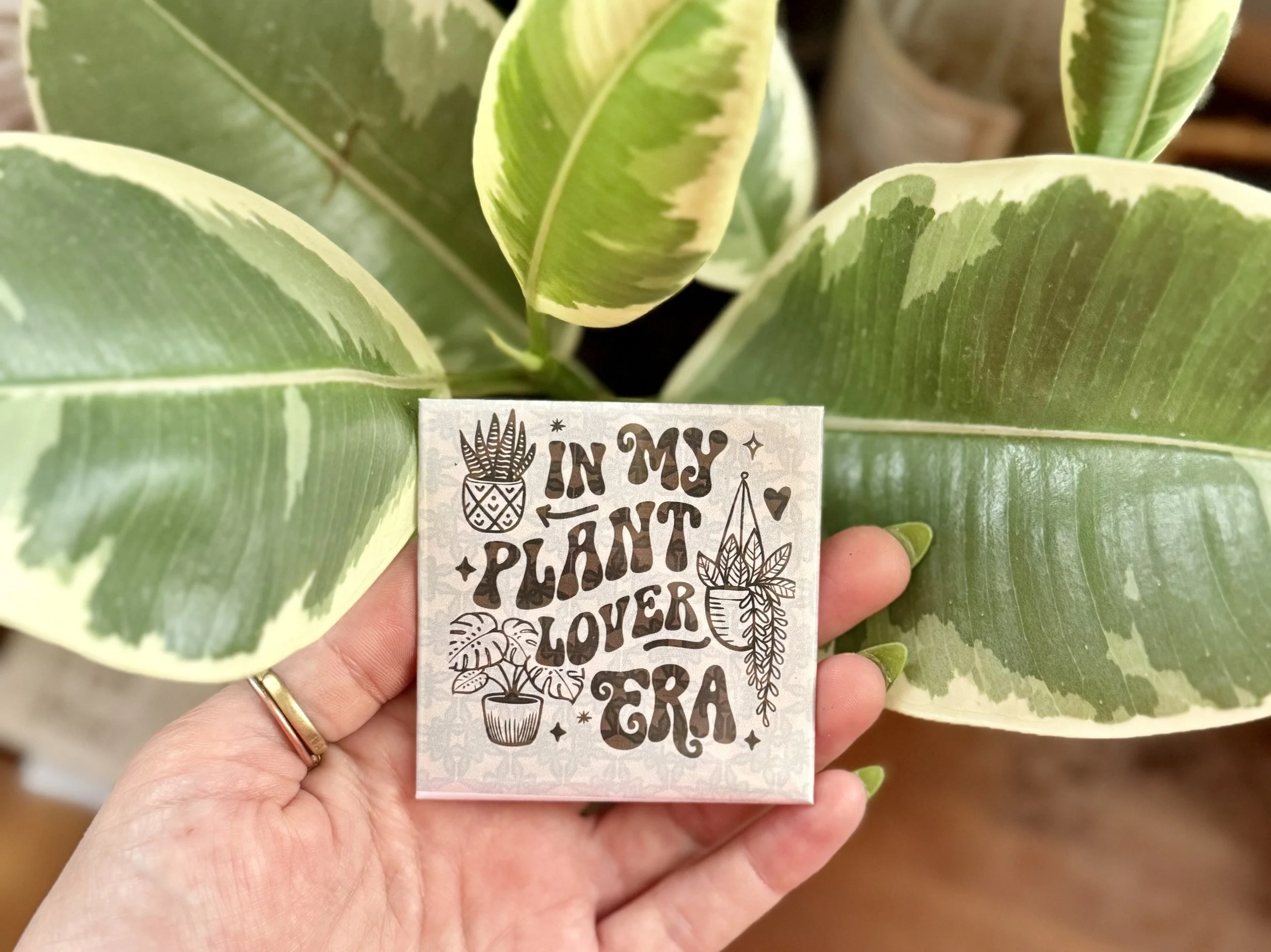 4 Pack | Plant Parents Pack