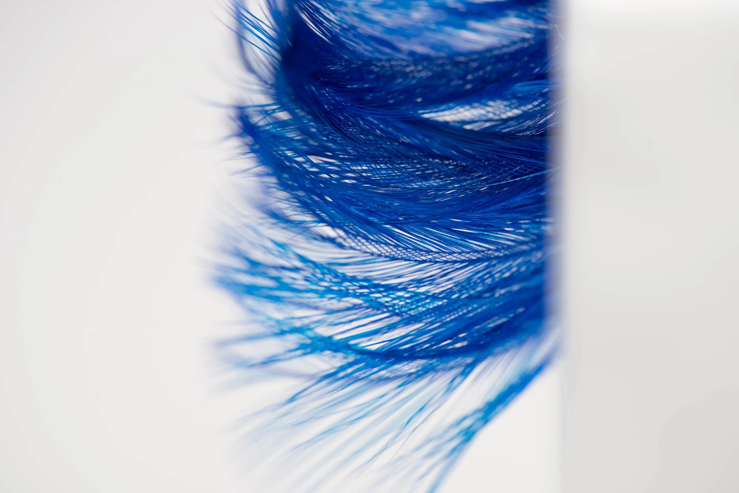 portfolio-31.jpg