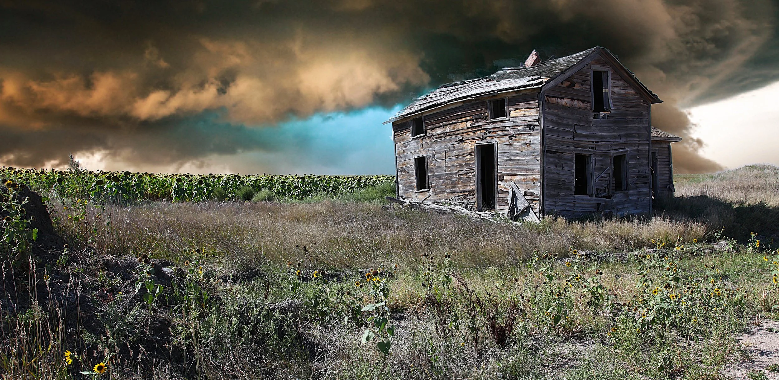 Homestead Storm