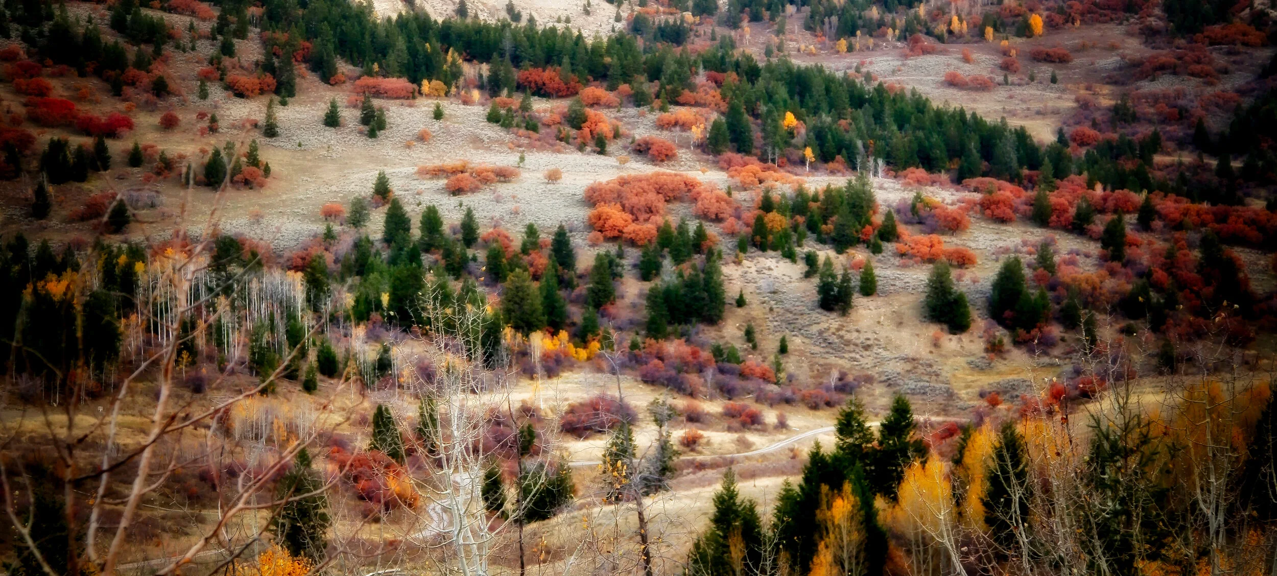 Fall