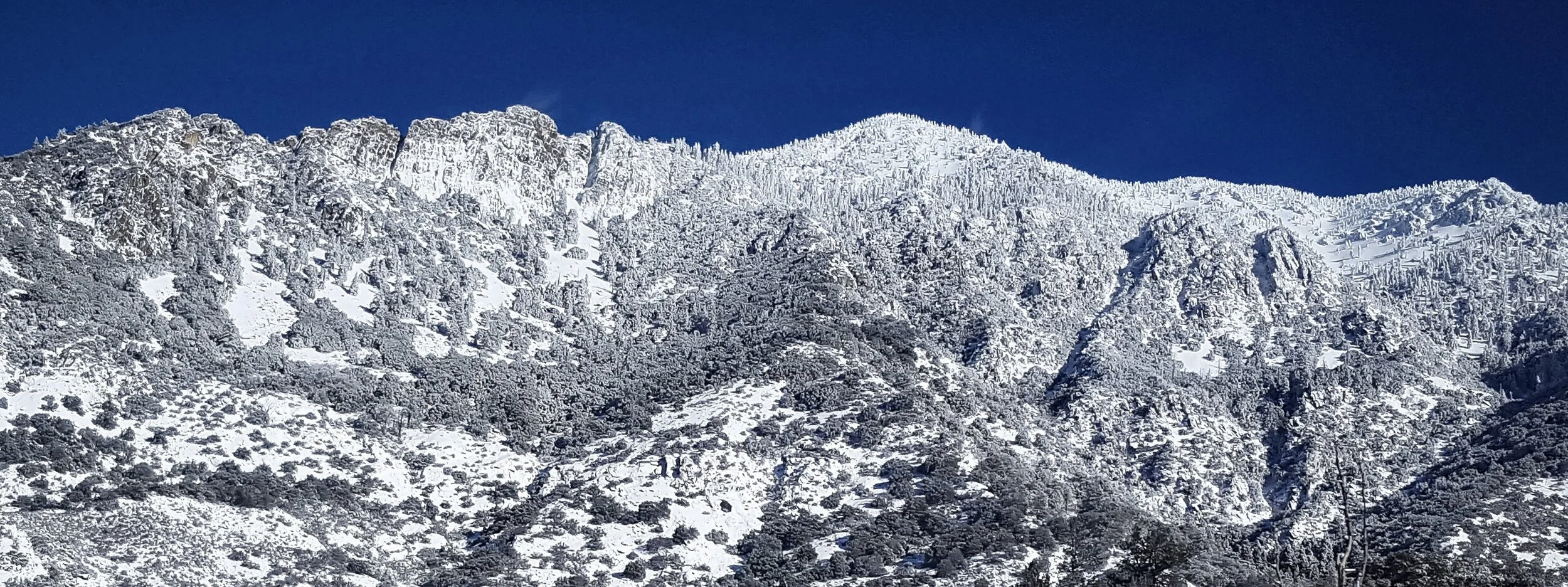 Palisades in winter