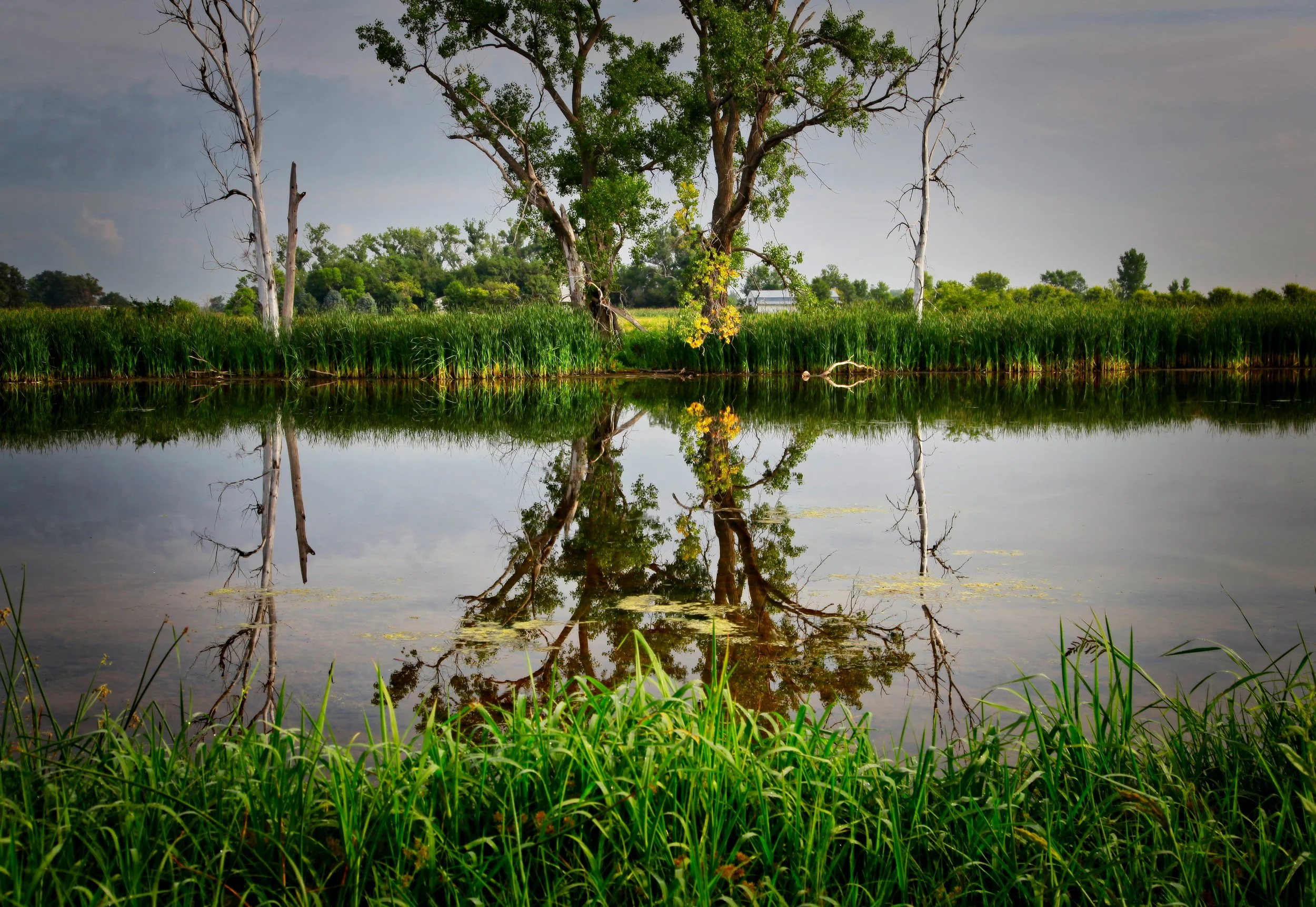 Emerald Reflection