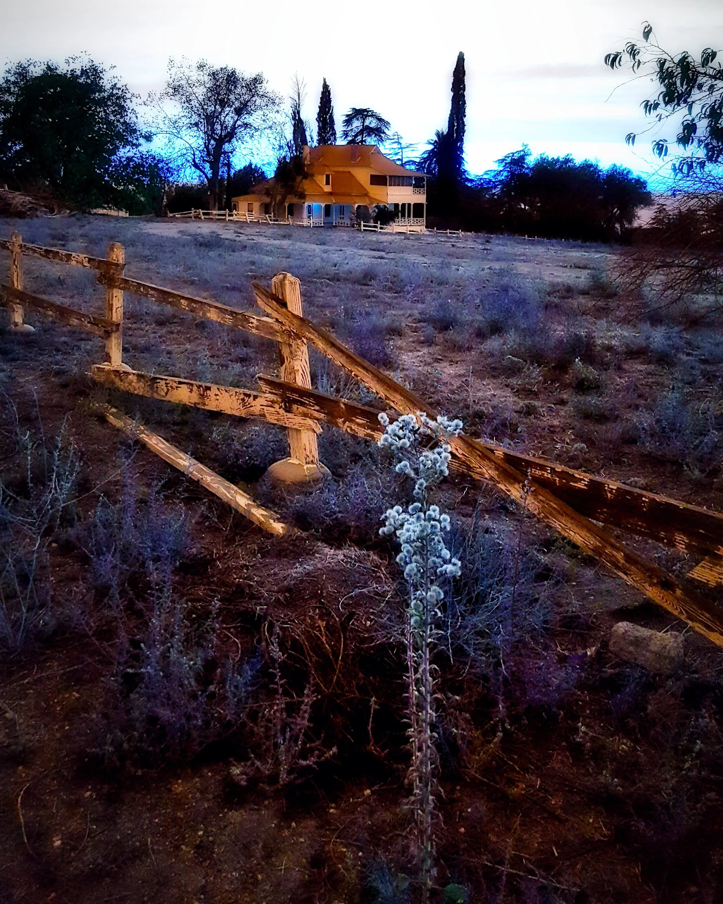 Casa Blanca Evening