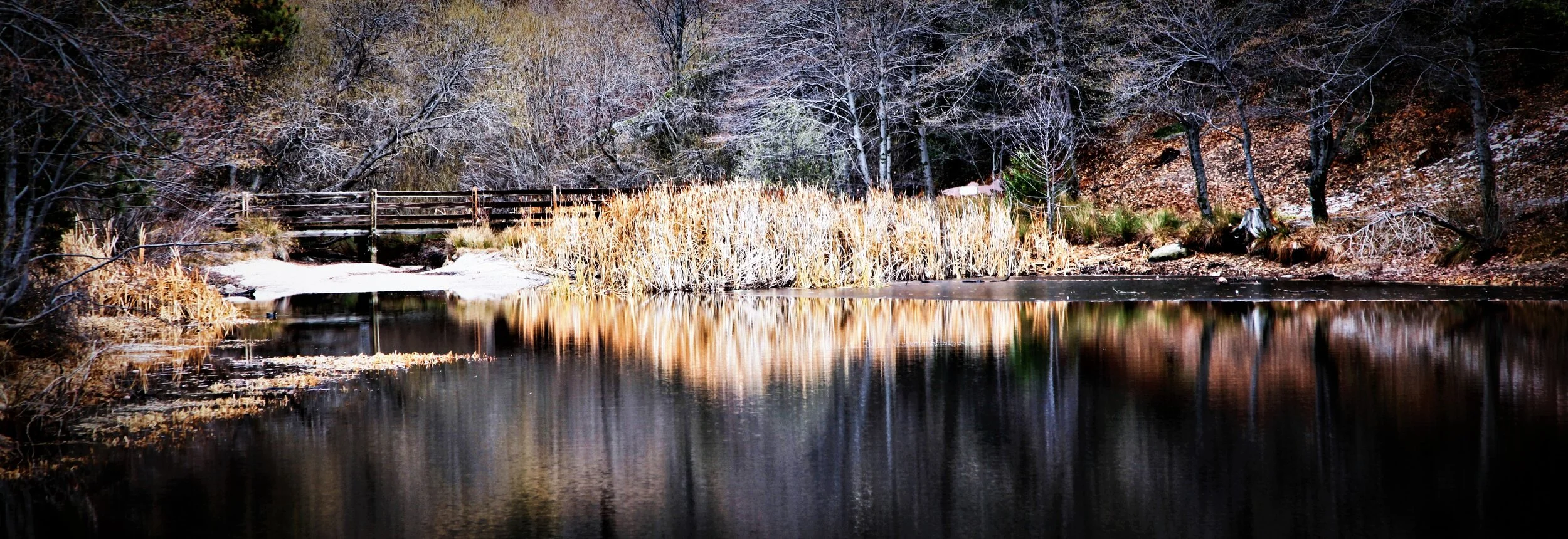 Bridge Reflection