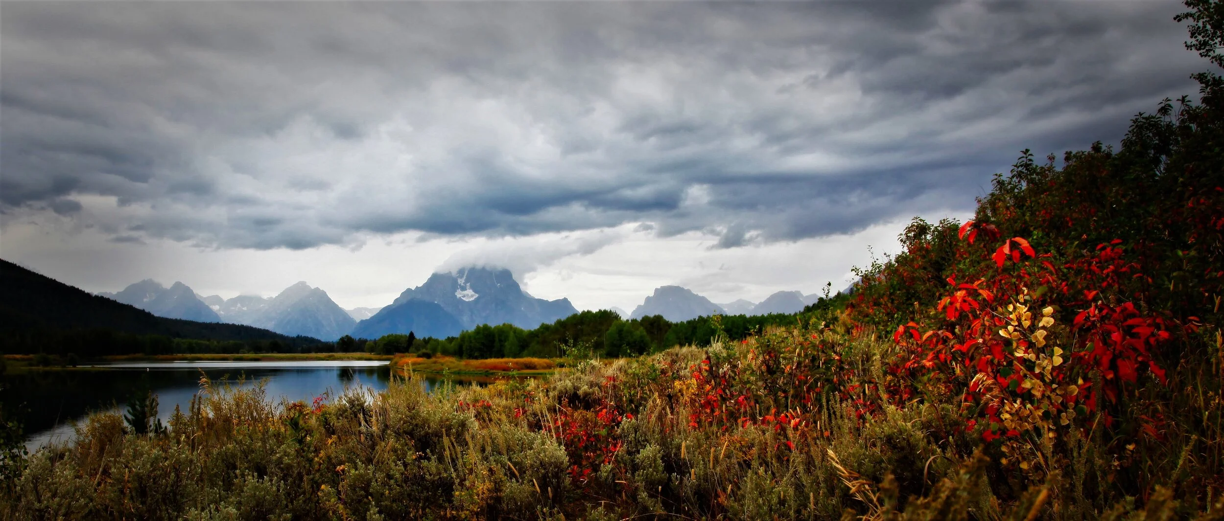 Red Flowers, Tetons