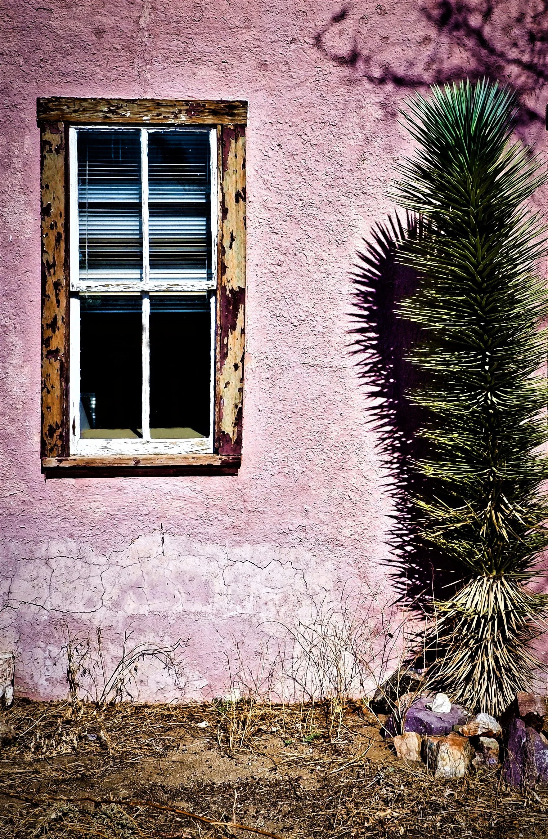 Pink Window