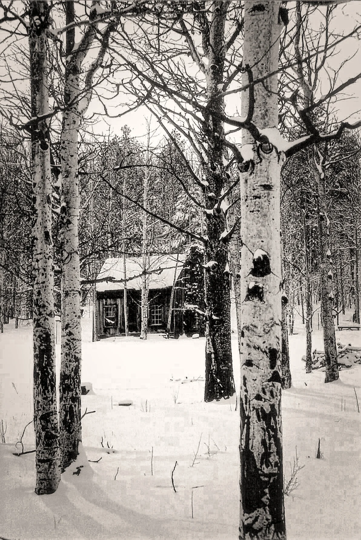 The Cabin in winter