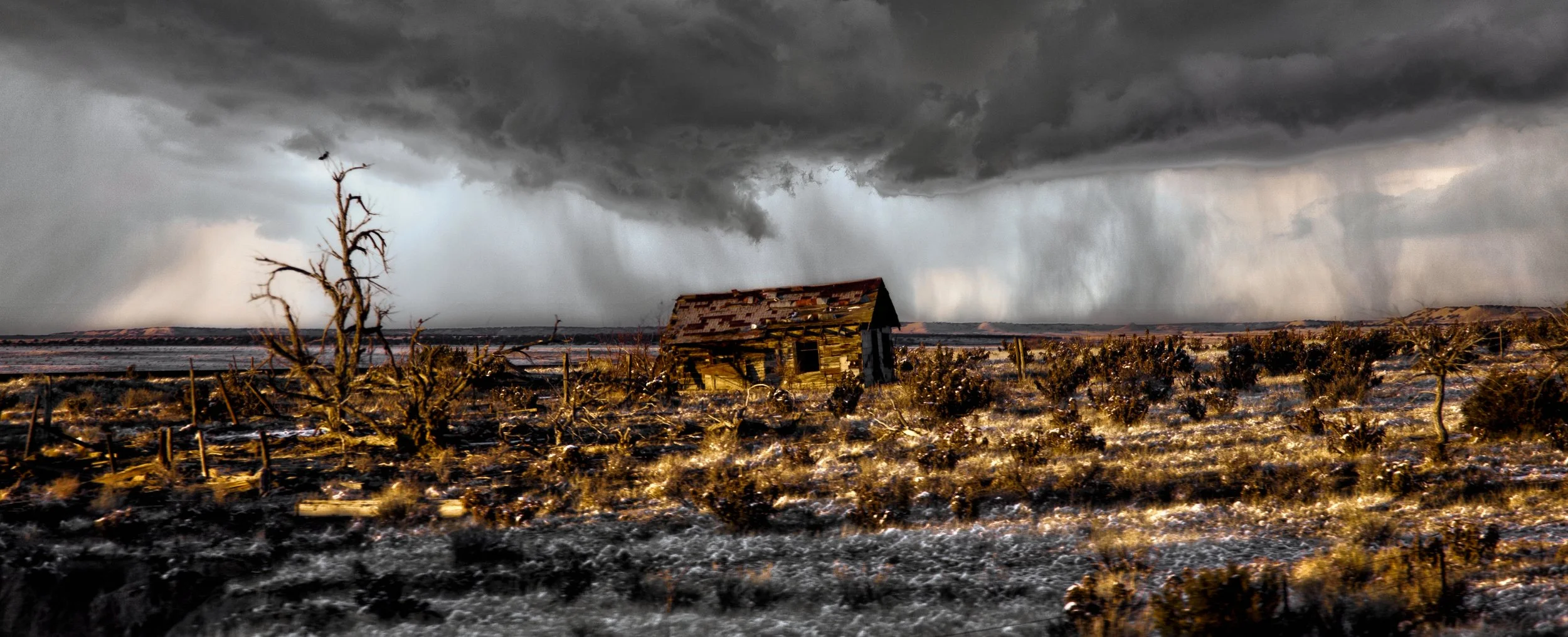 The Thunder rolls