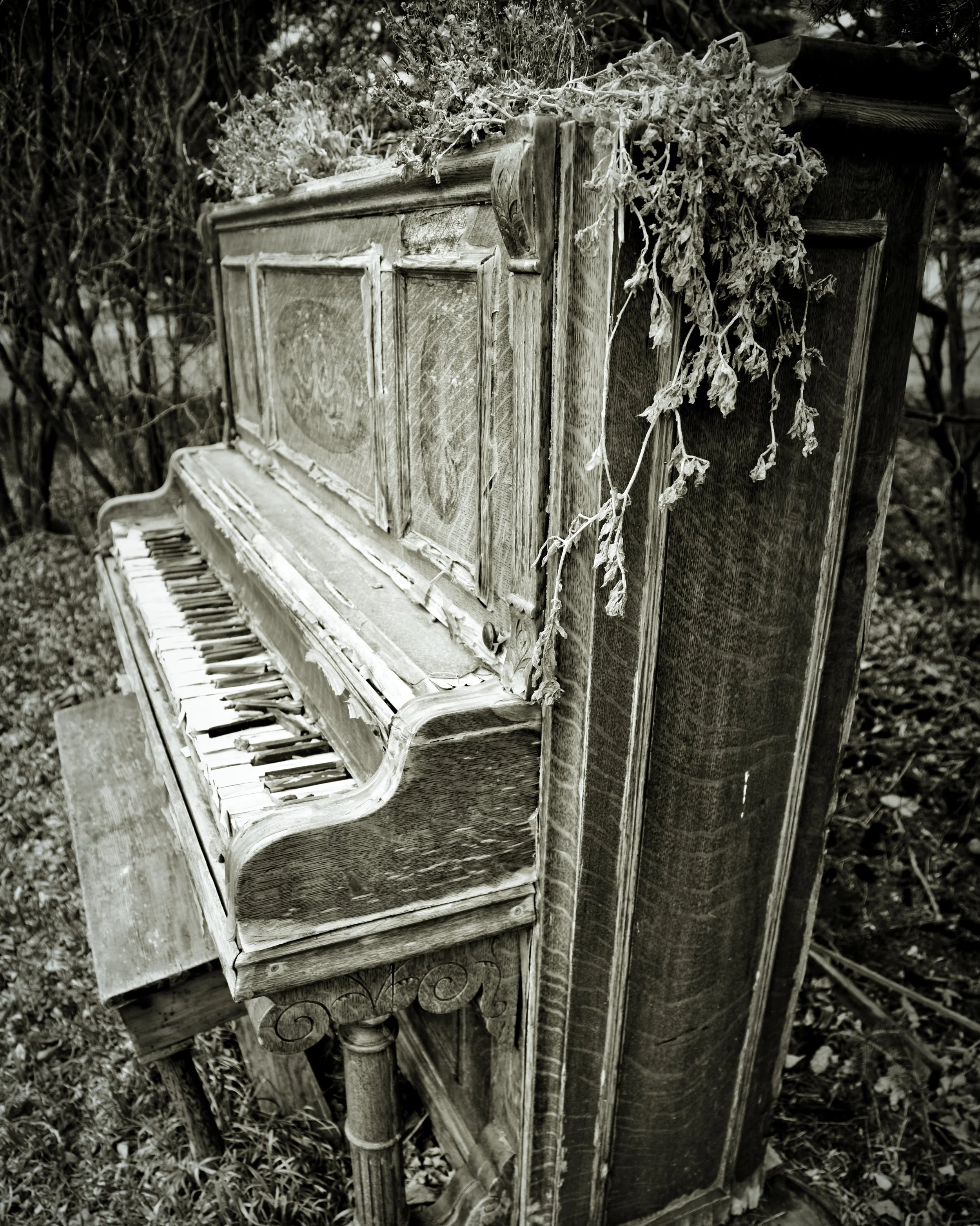 The Piano