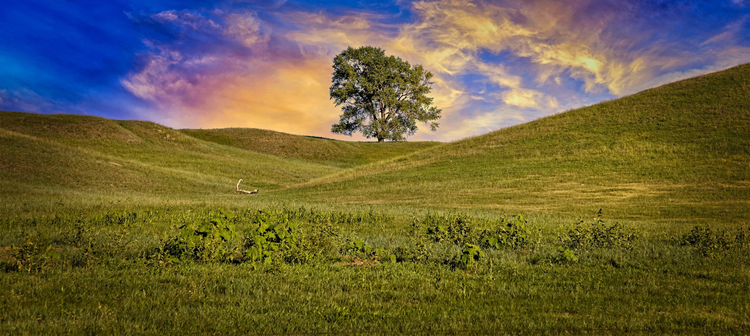 Expanse Beauty