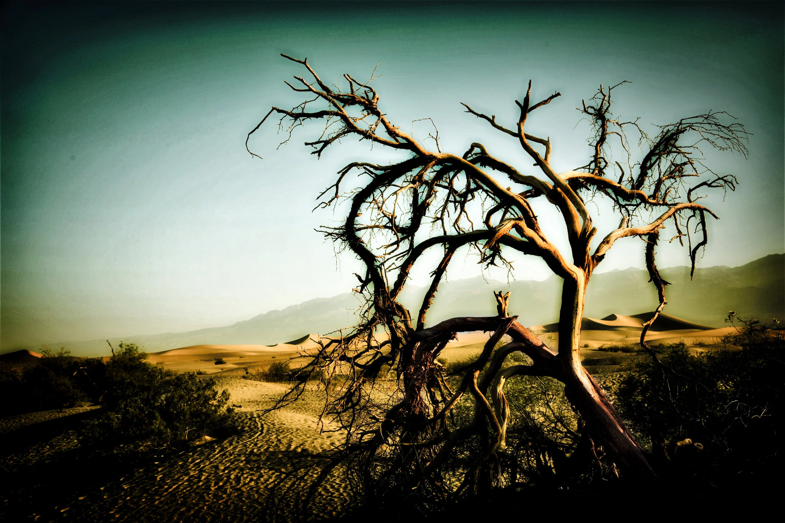 Broken Sunrise