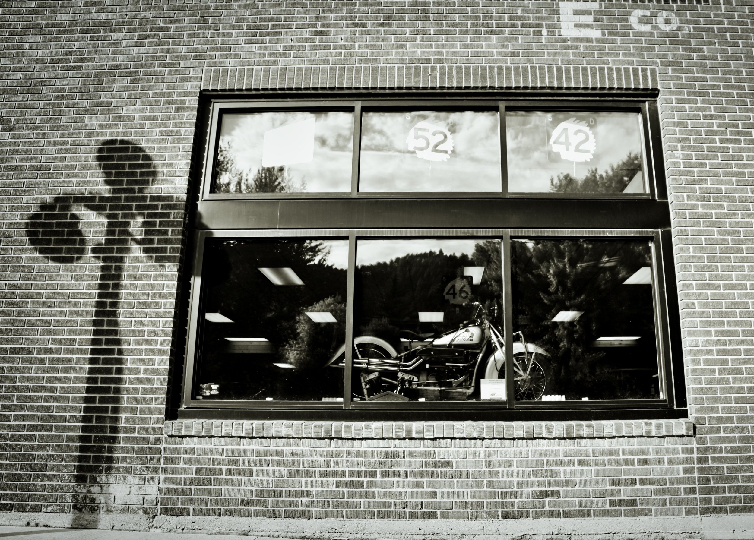 Window Dreams