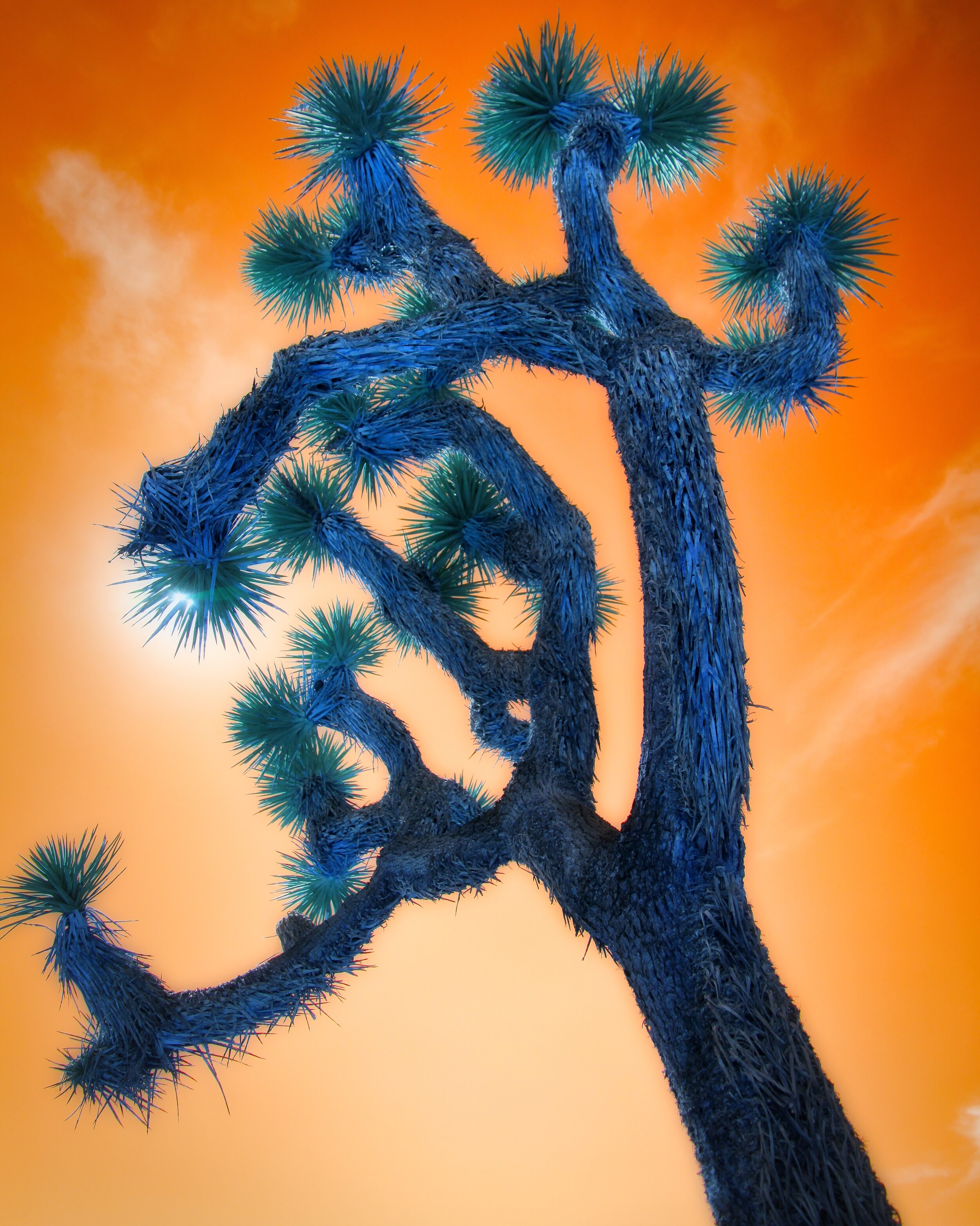 Fine Art
