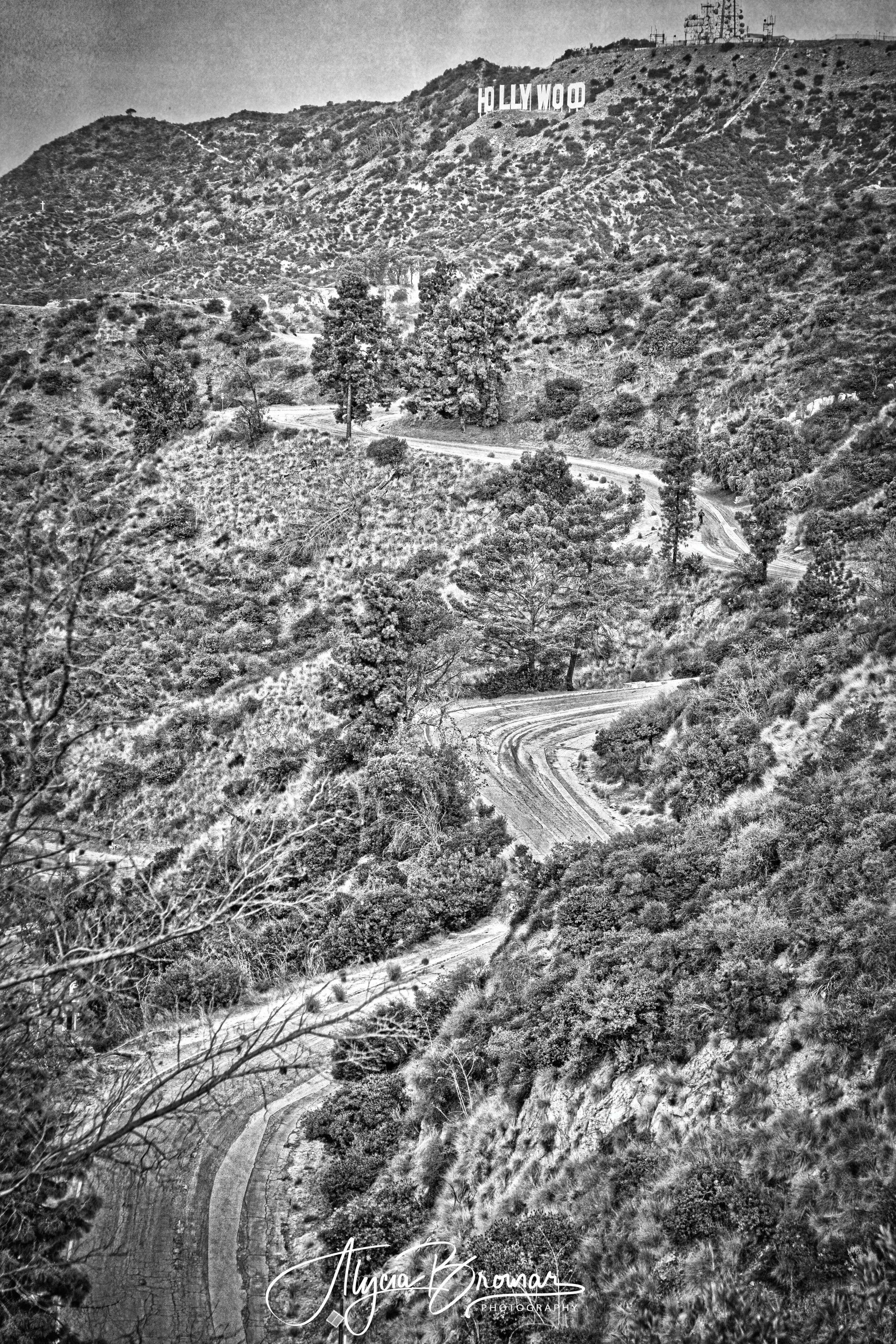 Road to Hollywood