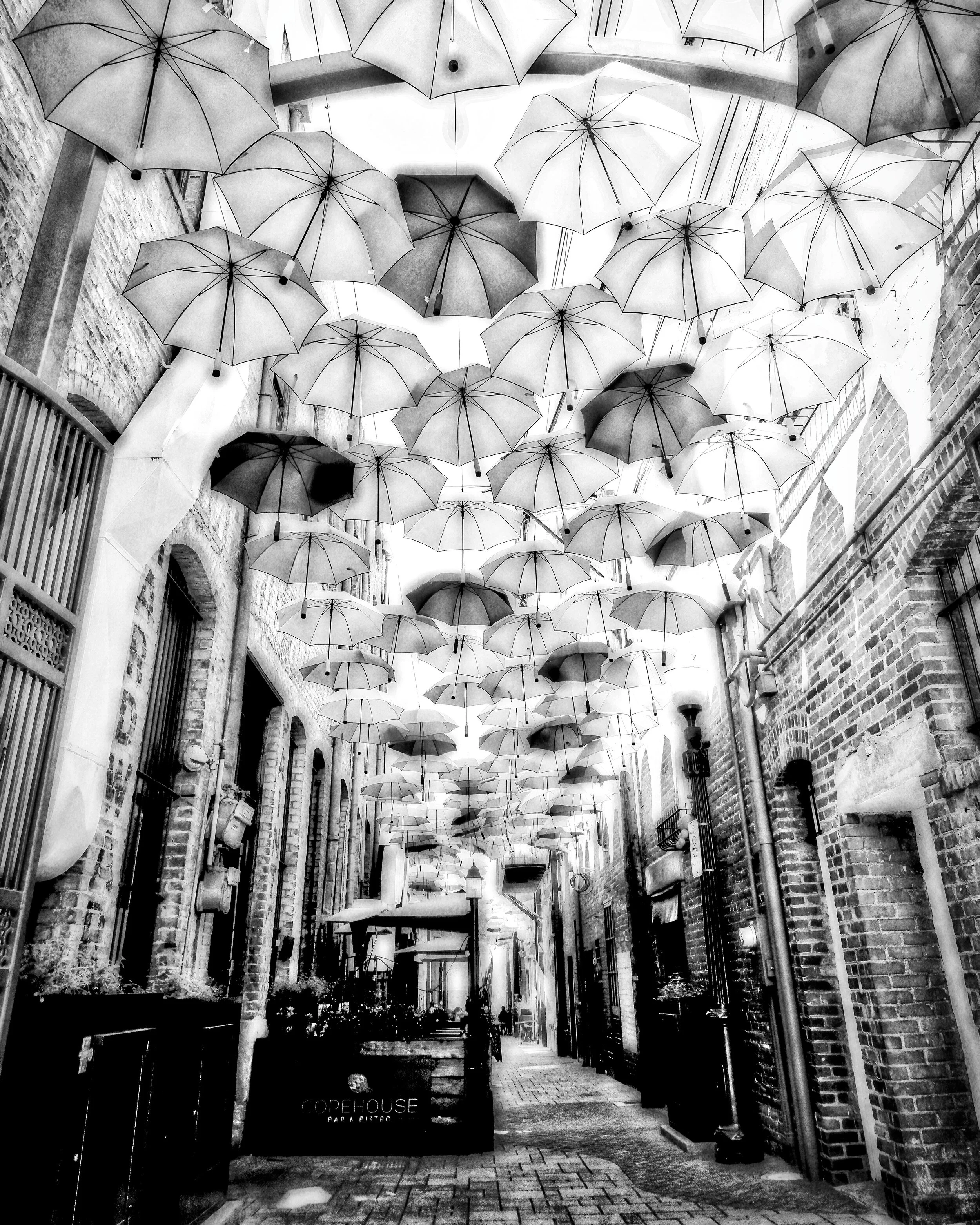 The Alley
