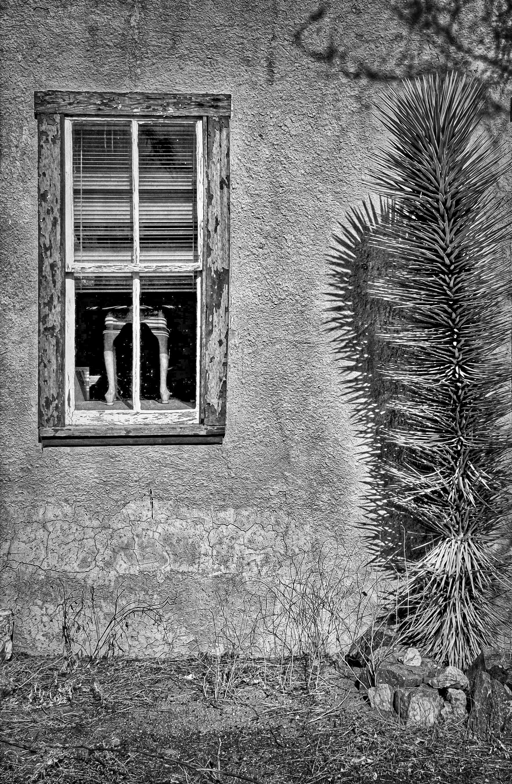 Legs In the window