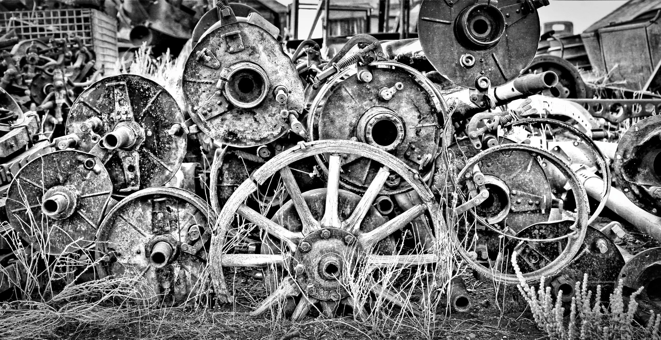 Circular ages
