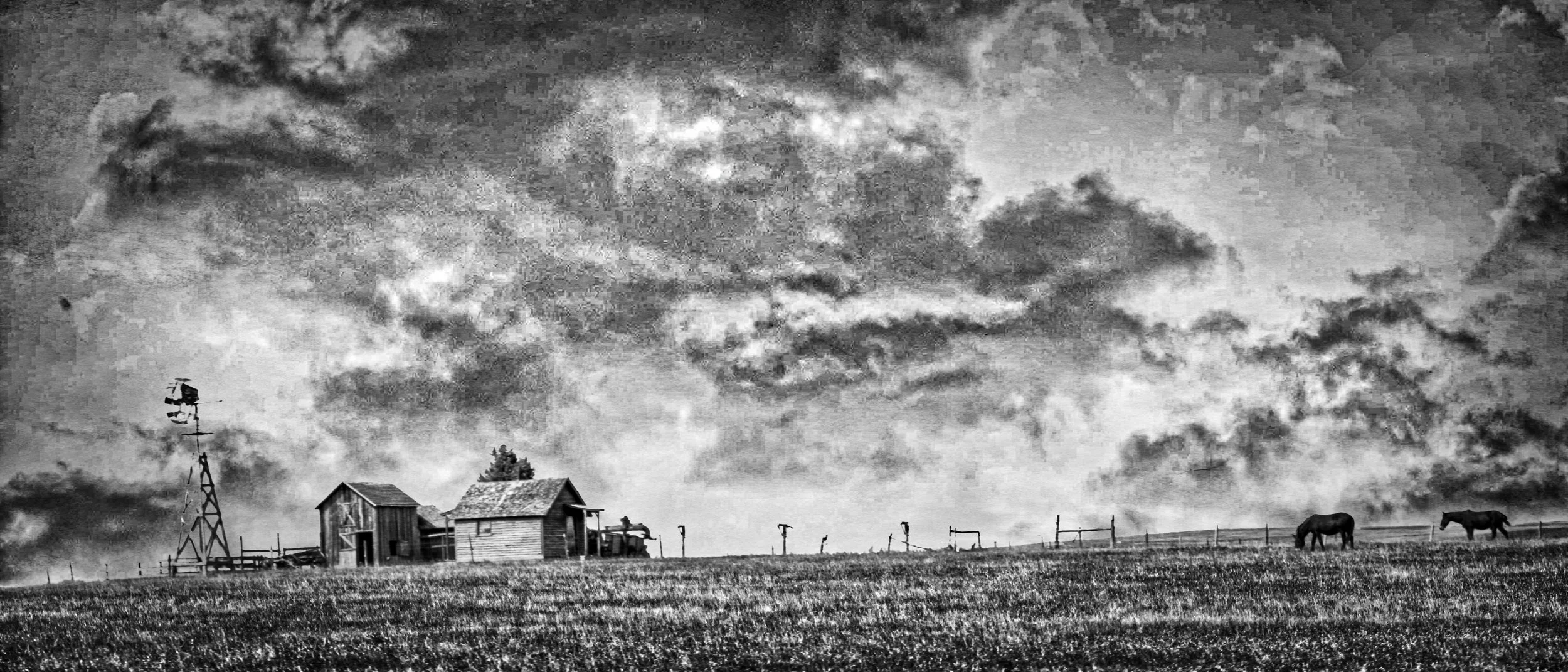 Ranch Life