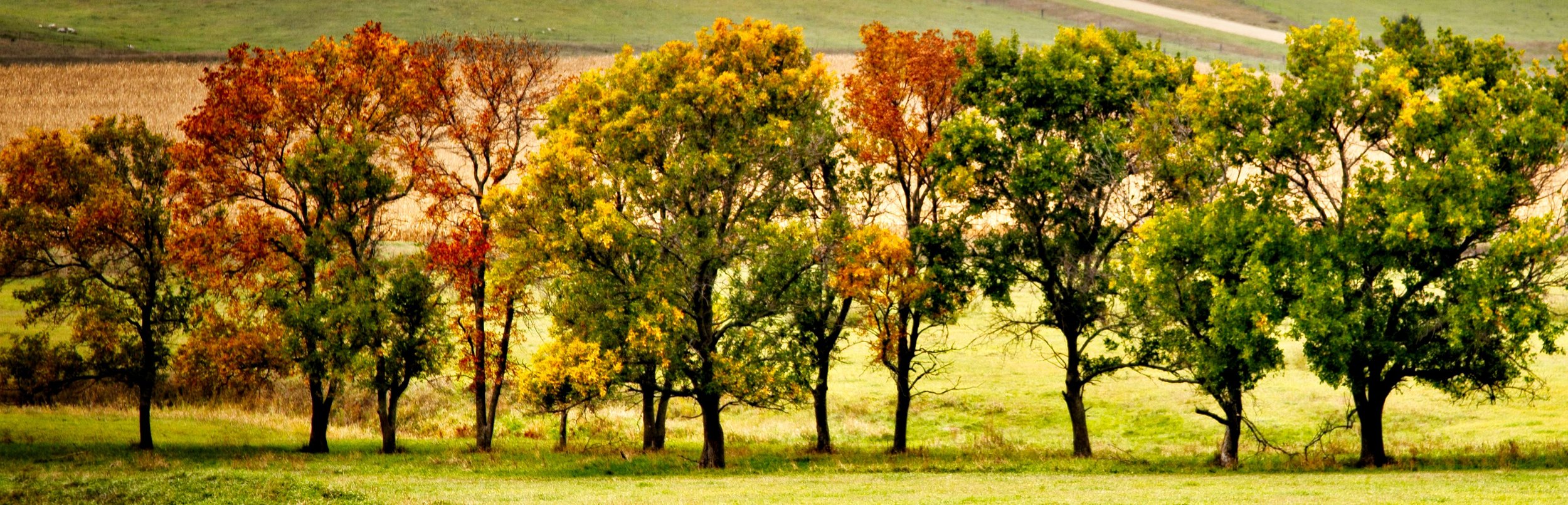 Fall in a row